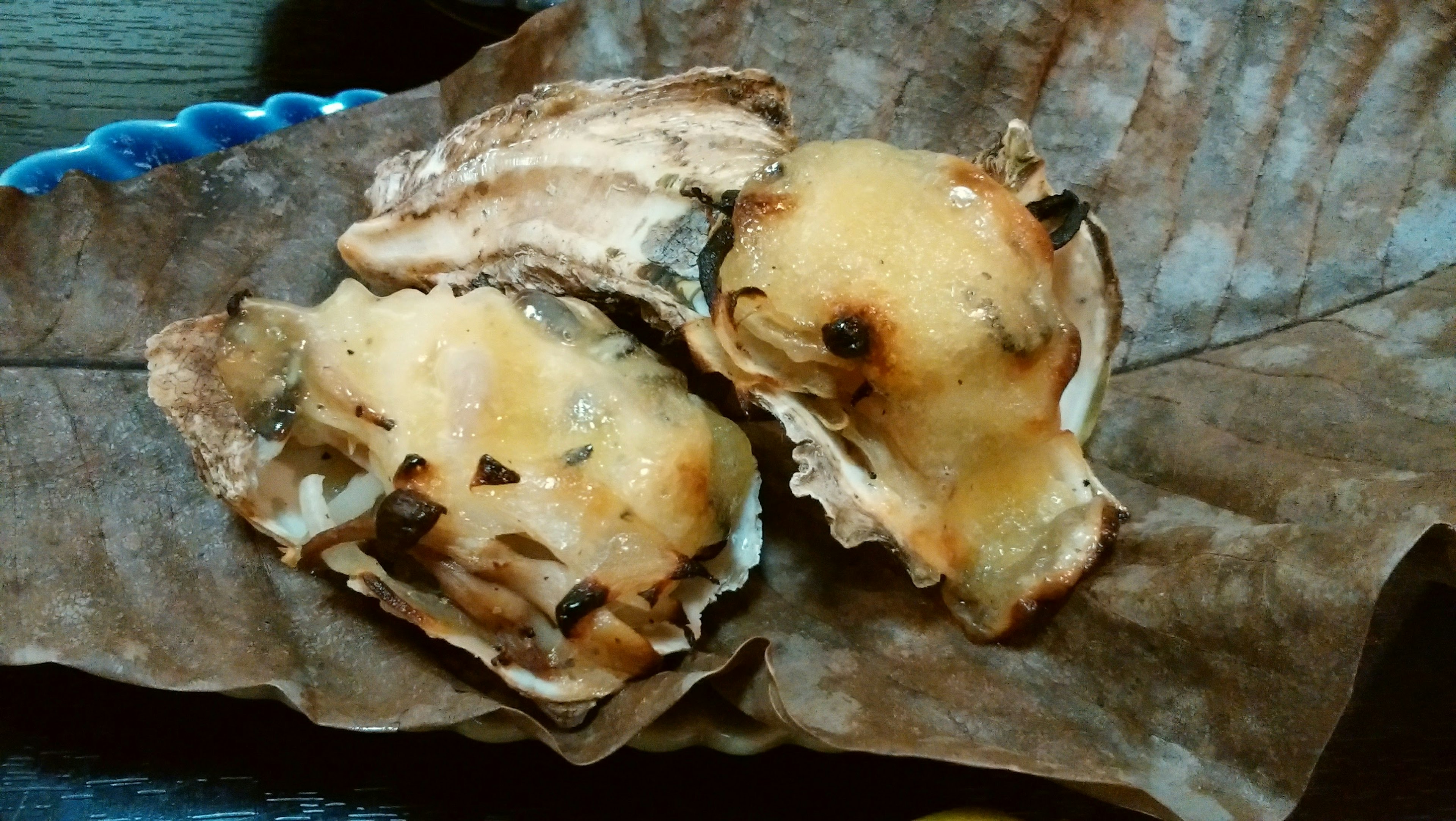 Grilled oysters placed on a large leaf