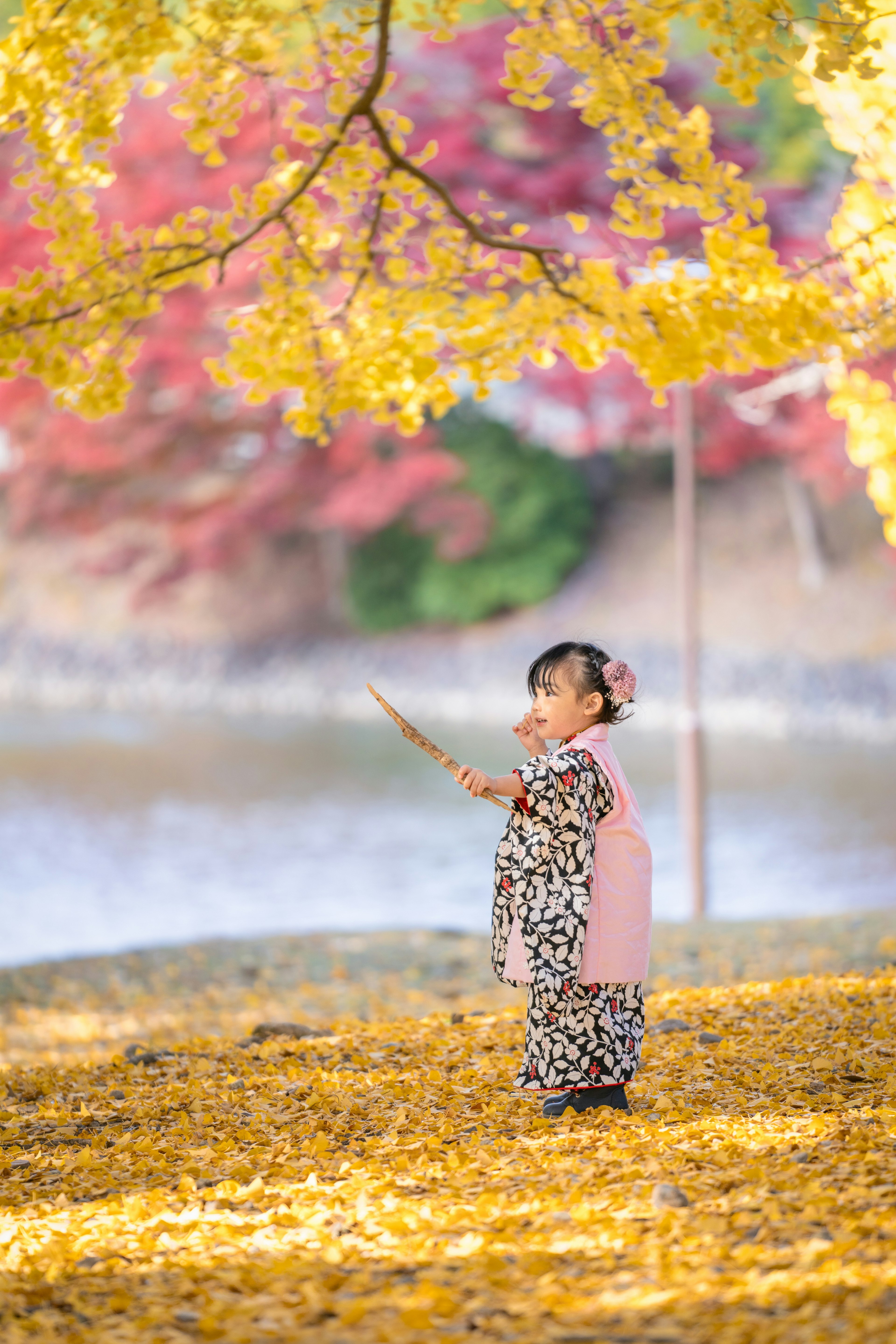 Ein Kind in einem Kimono steht in einem Park und hält einen Stock zwischen Herbstblättern