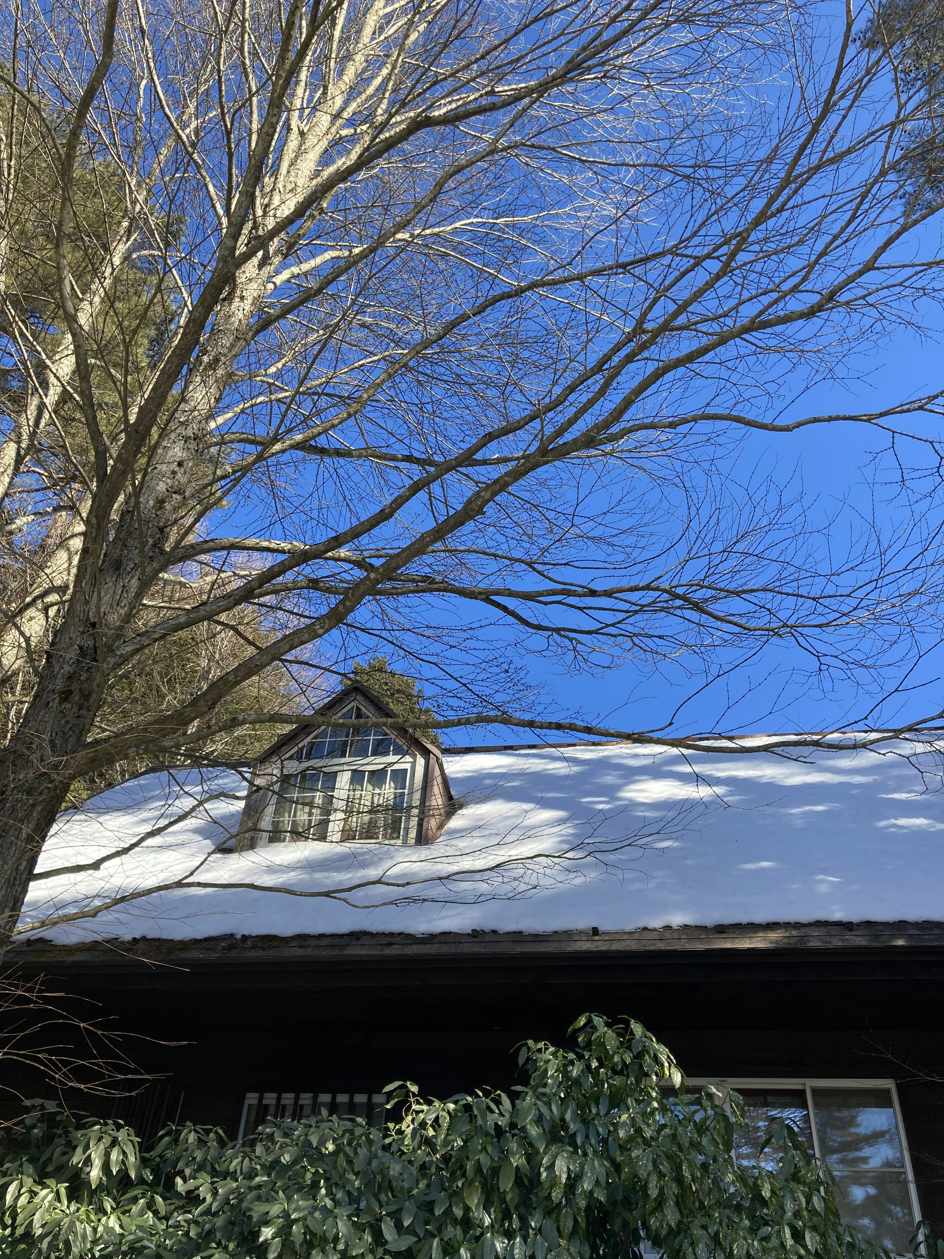 Snow-covered roof with a clear blue sky