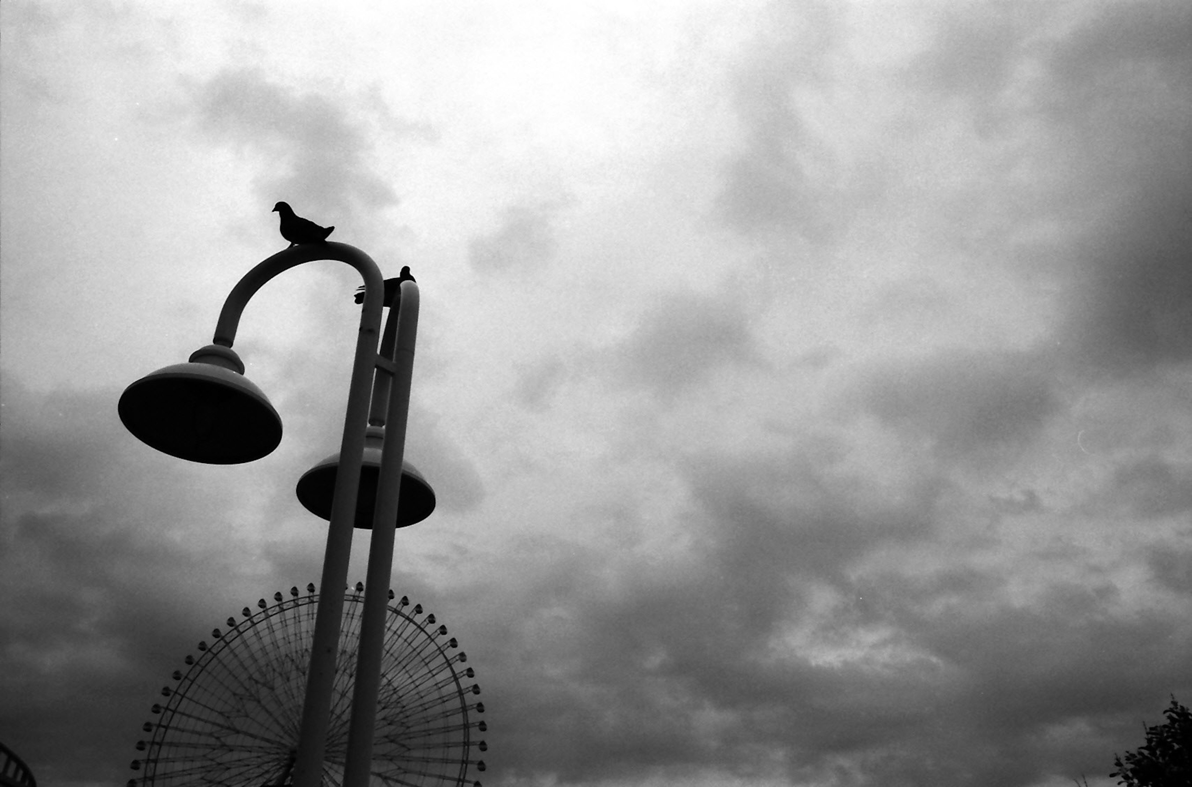 Escena en blanco y negro con una farola y una paloma, una noria y nubes al fondo