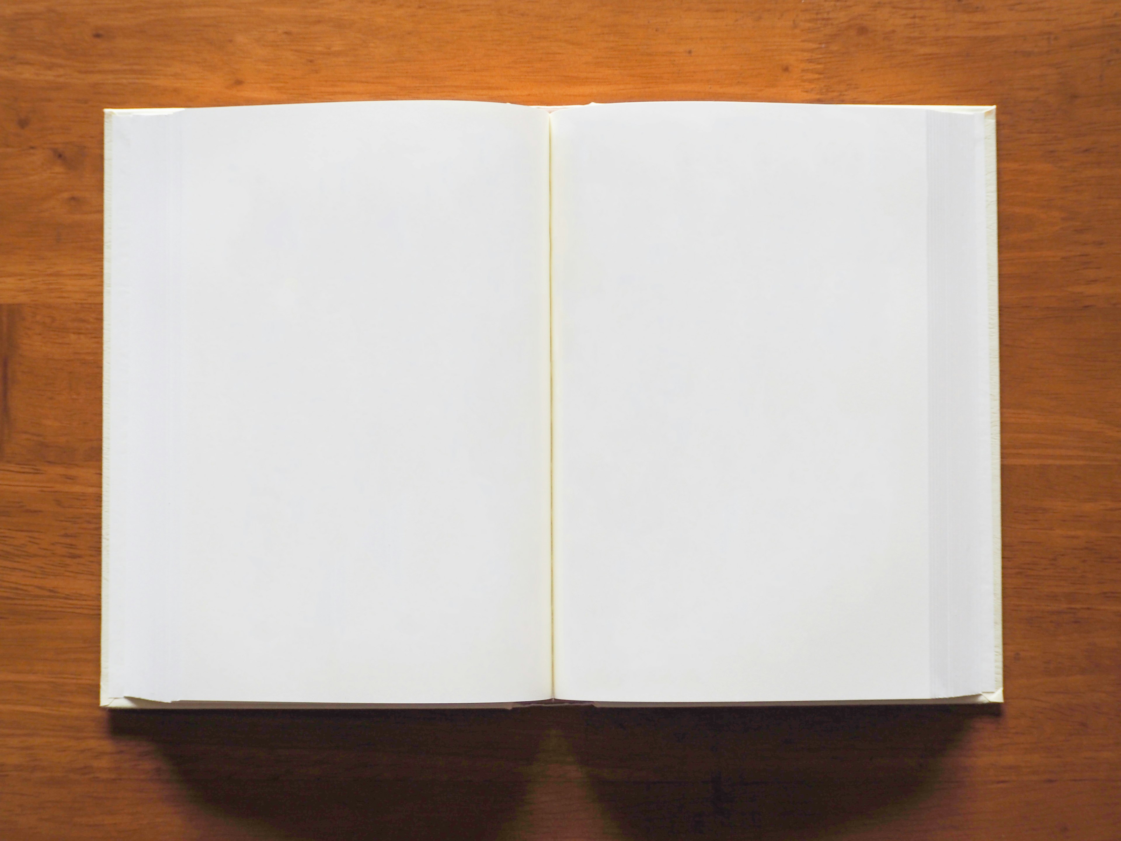 Image of an open book with blank pages