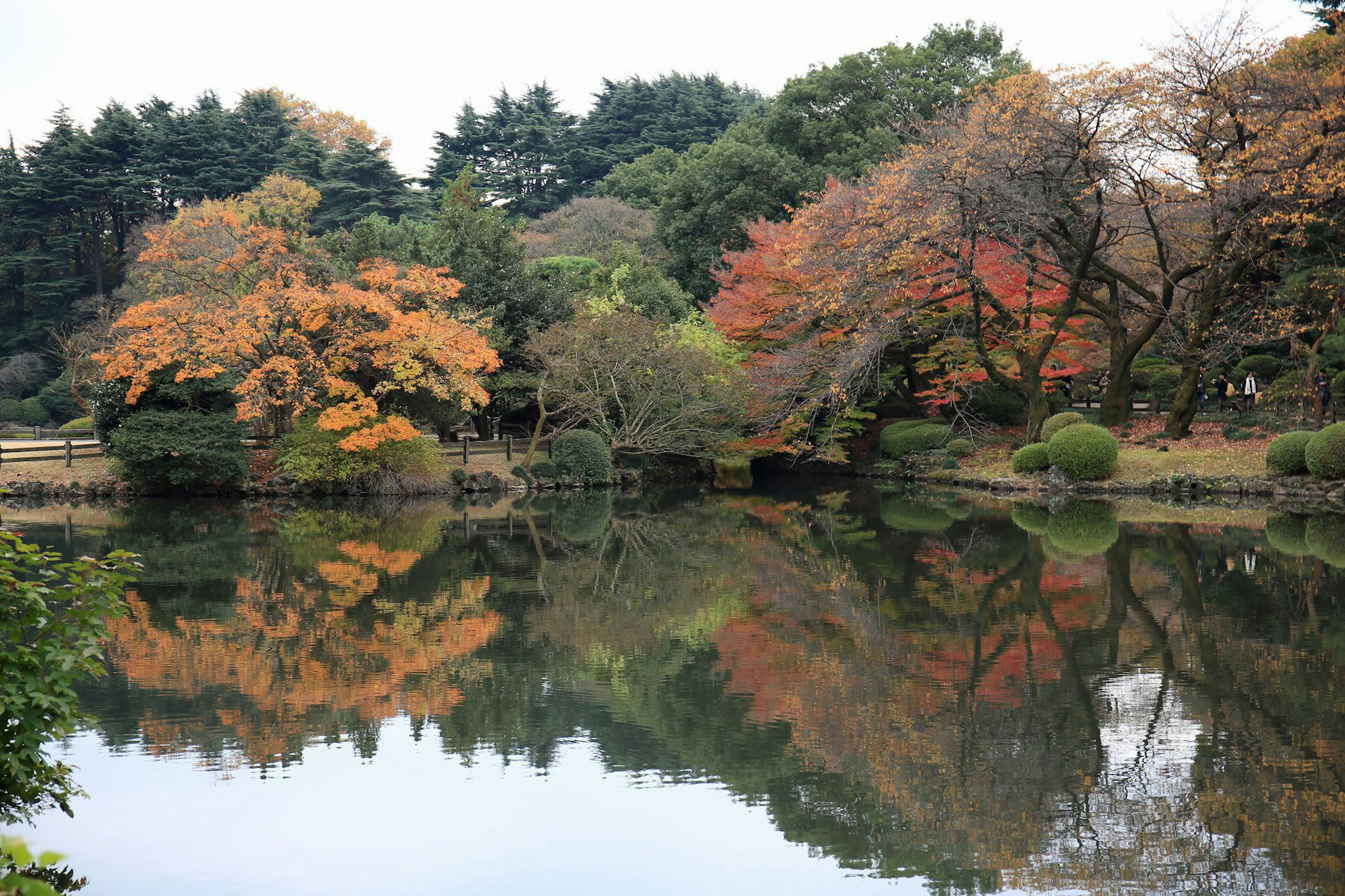 ทิวทัศน์ที่สวยงามของบ่อน้ำในสวนในฤดูใบไม้ร่วง ใบไม้สีส้มและแดงสดใสสะท้อนอยู่ในน้ำ