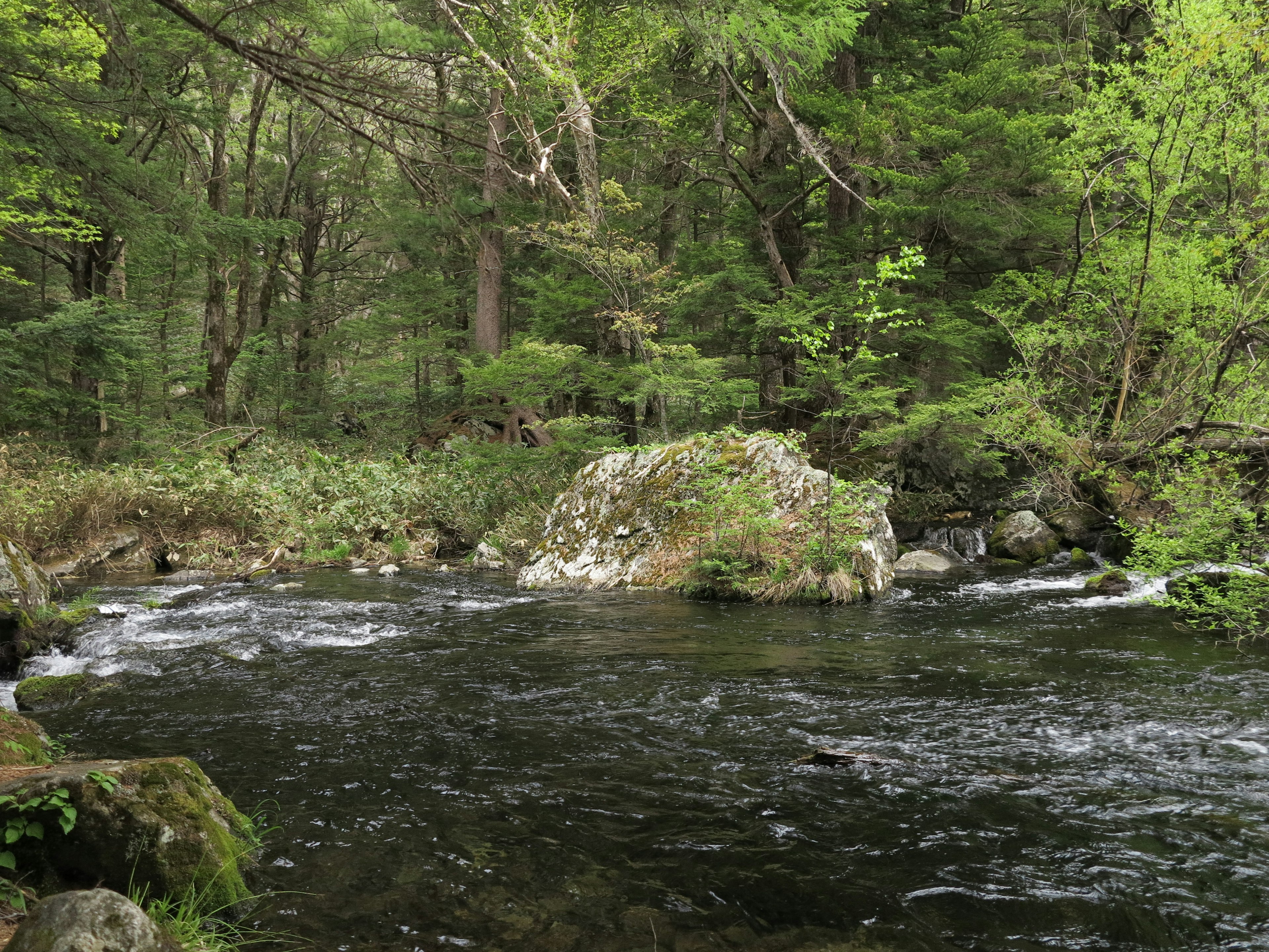 Eine ruhige Flusslandschaft umgeben von üppigem Grün mit Felsen und fließendem Wasser