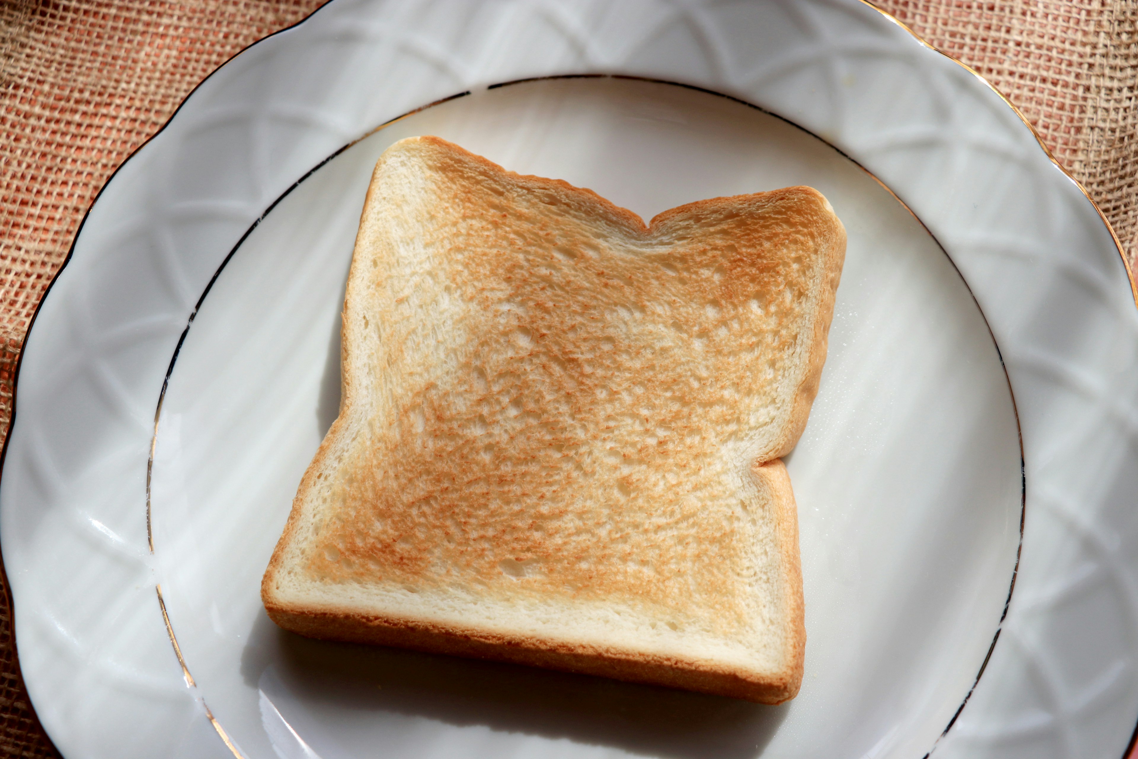 Sepotong roti panggang di atas piring putih