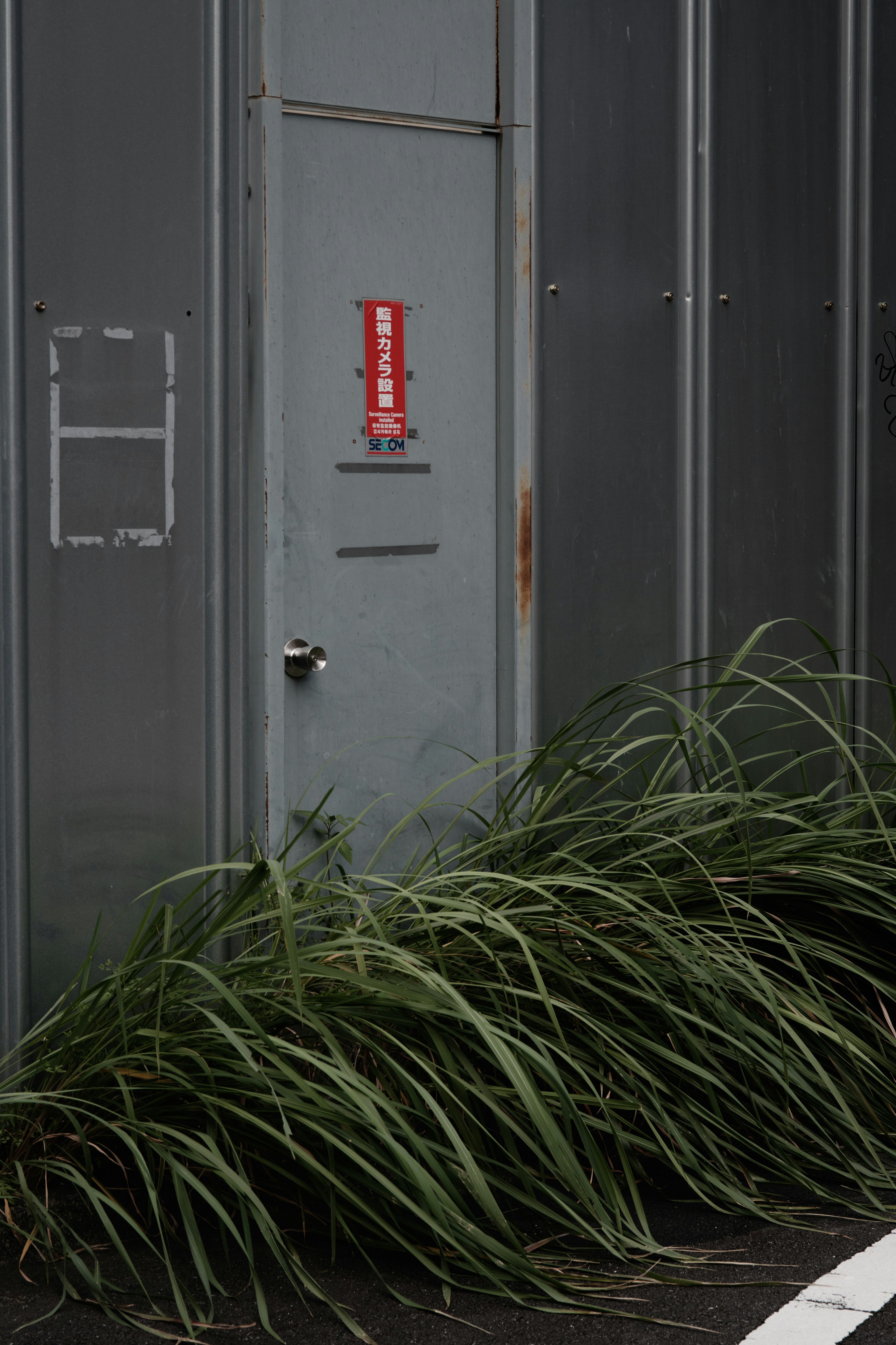 Overgrown grass in front of a gray industrial door