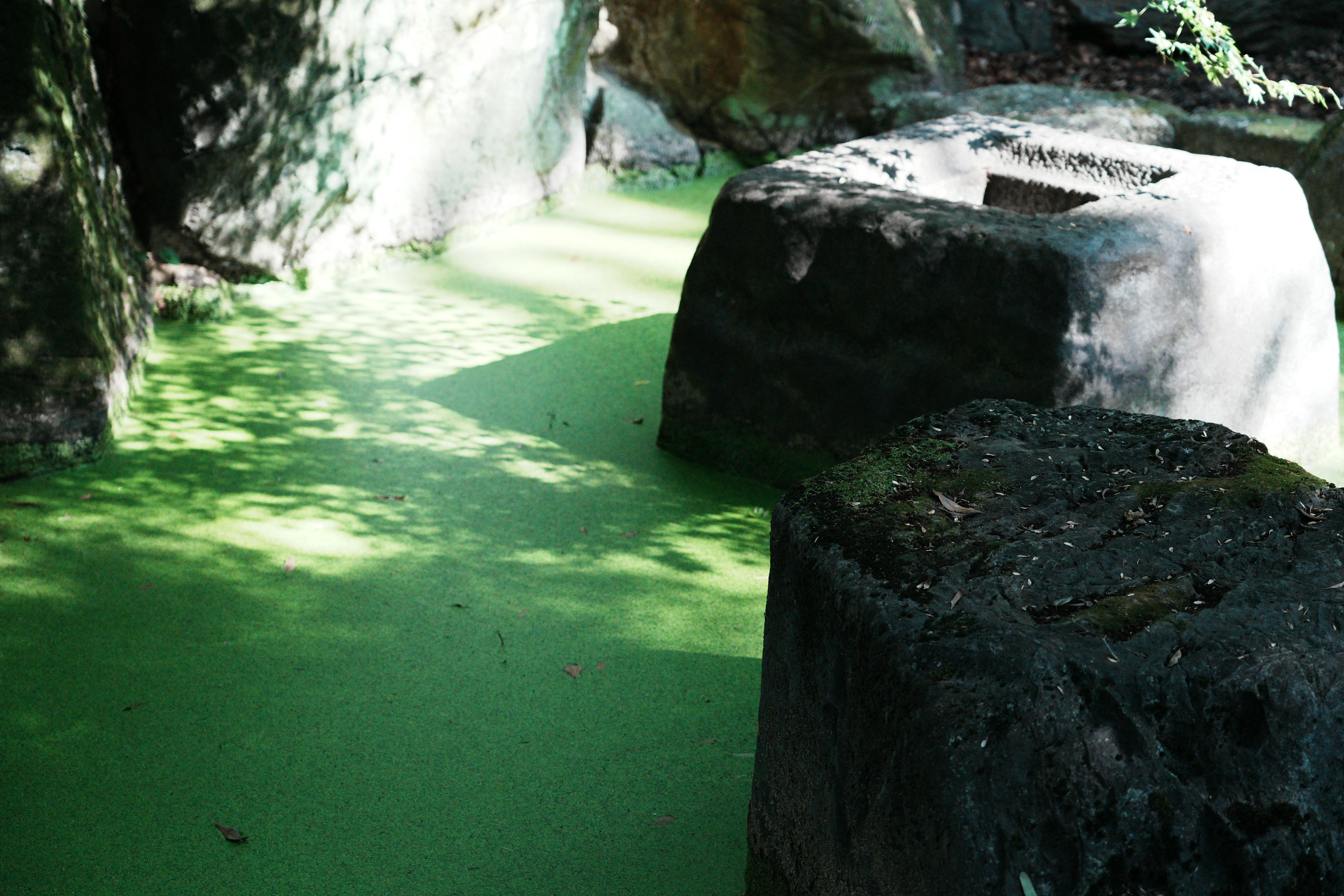 Scène naturelle avec de l'eau verte et des rochers