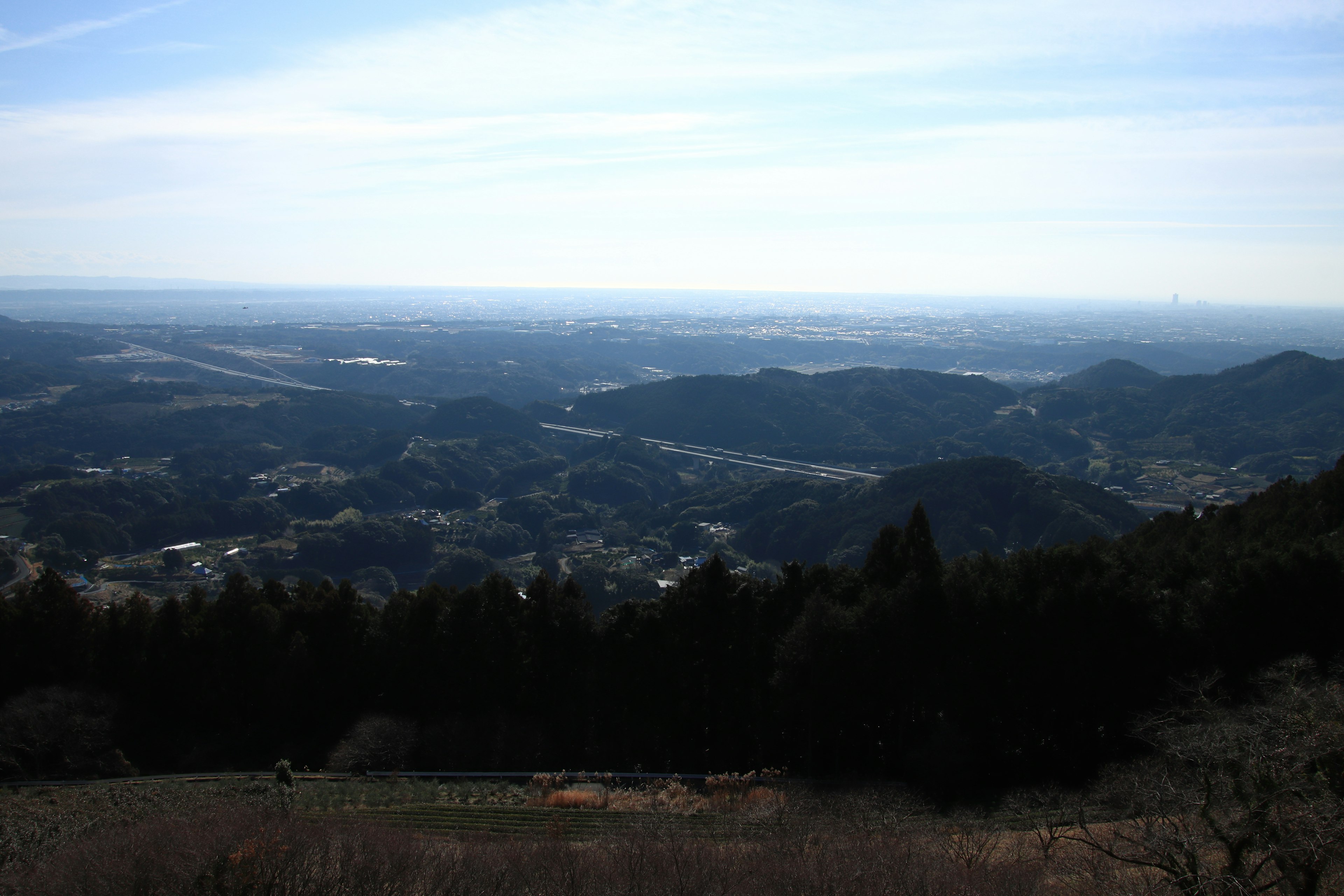 藍天下的山脈和山谷全景，低矮的樹木