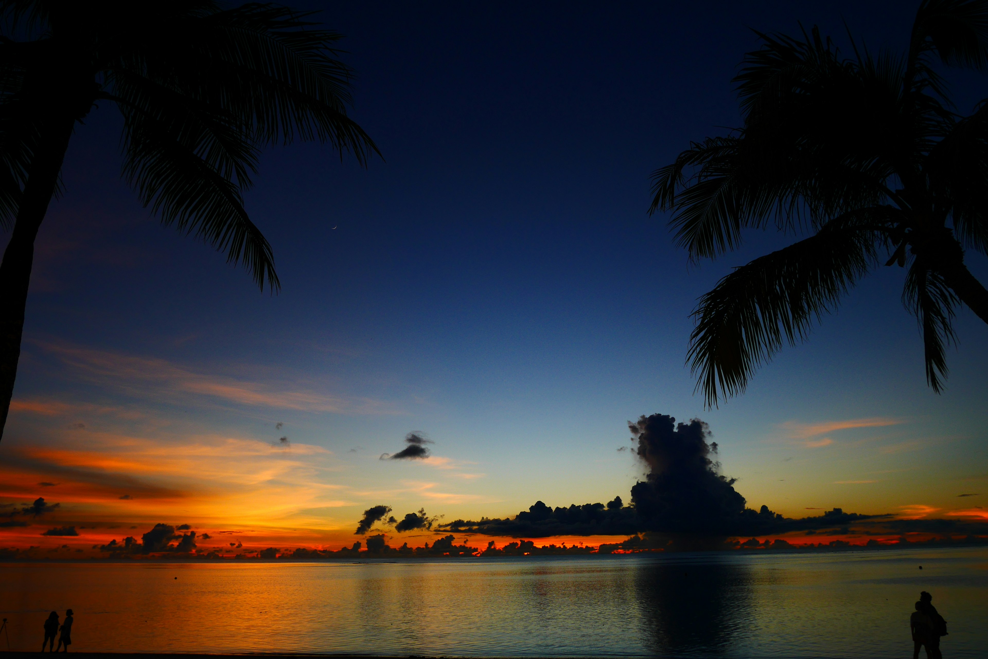 Atardecer en la playa con siluetas de palmeras