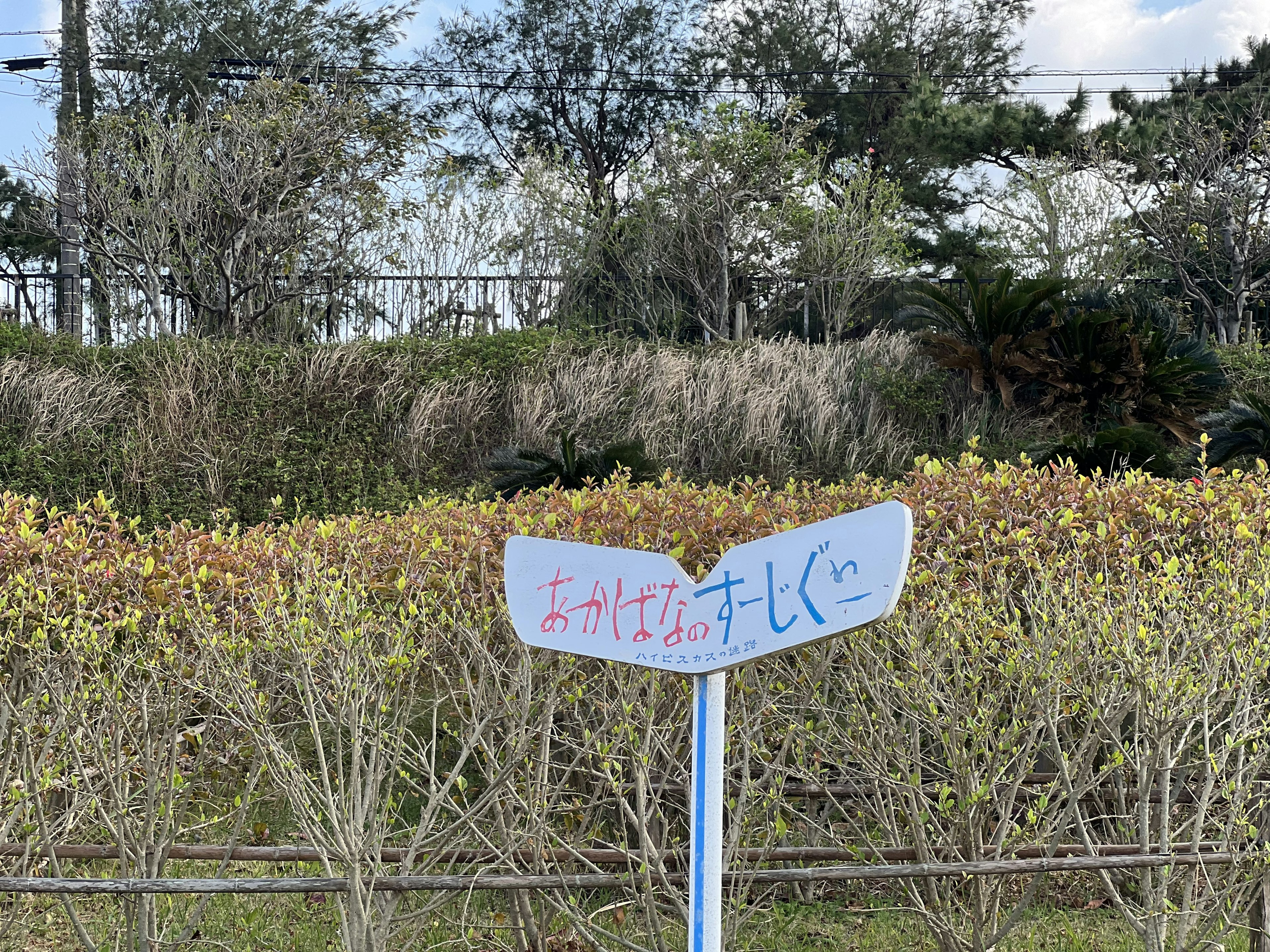 Weißes Schild unter blauem Himmel mit umliegenden grünen Pflanzen