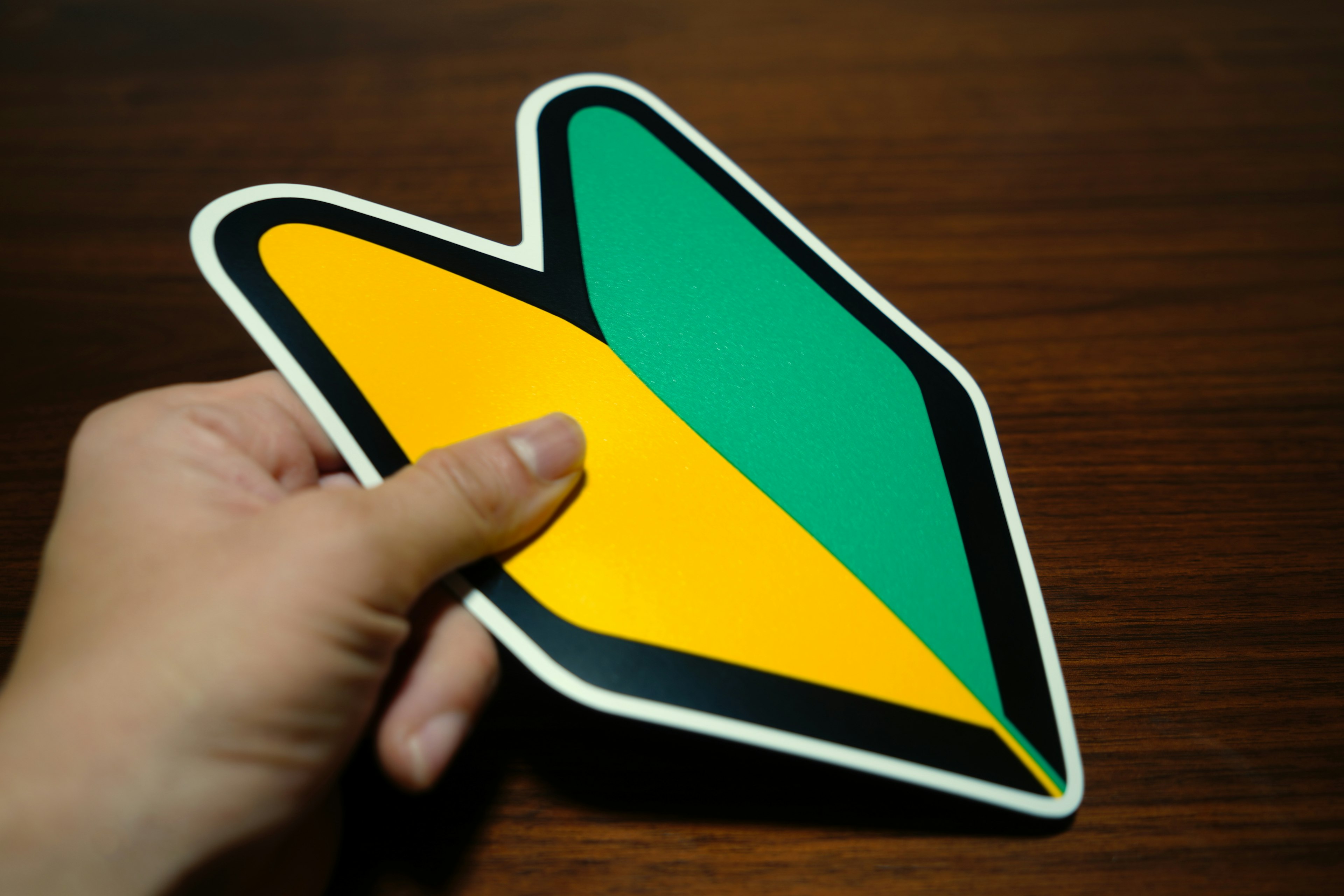 Hand holding a green and yellow symbol sticker