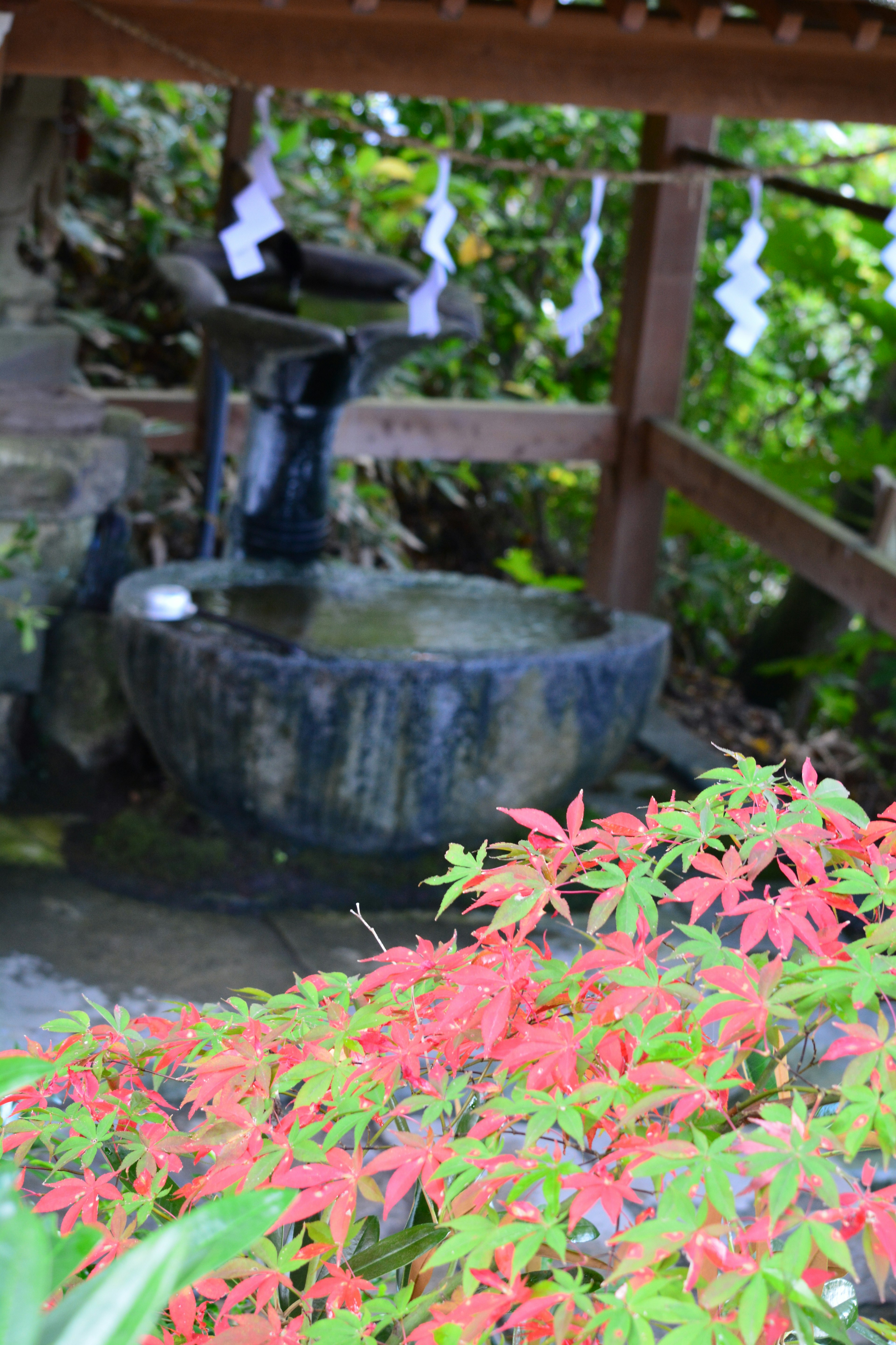 美しい紅葉の前にある古い石の水鉢と木製の構造物