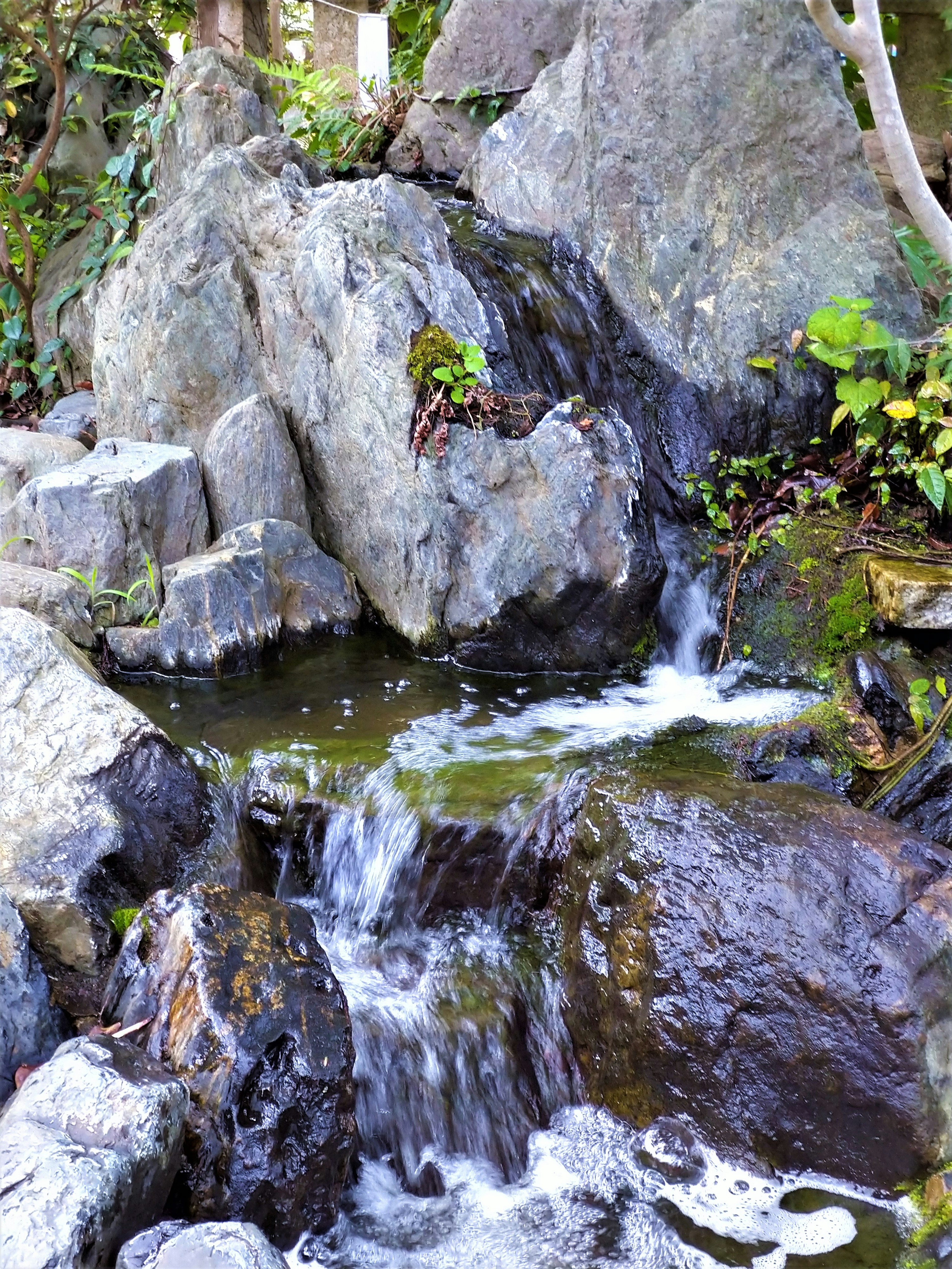 Una vista panoramica di una piccola cascata con rocce e acqua che scorre