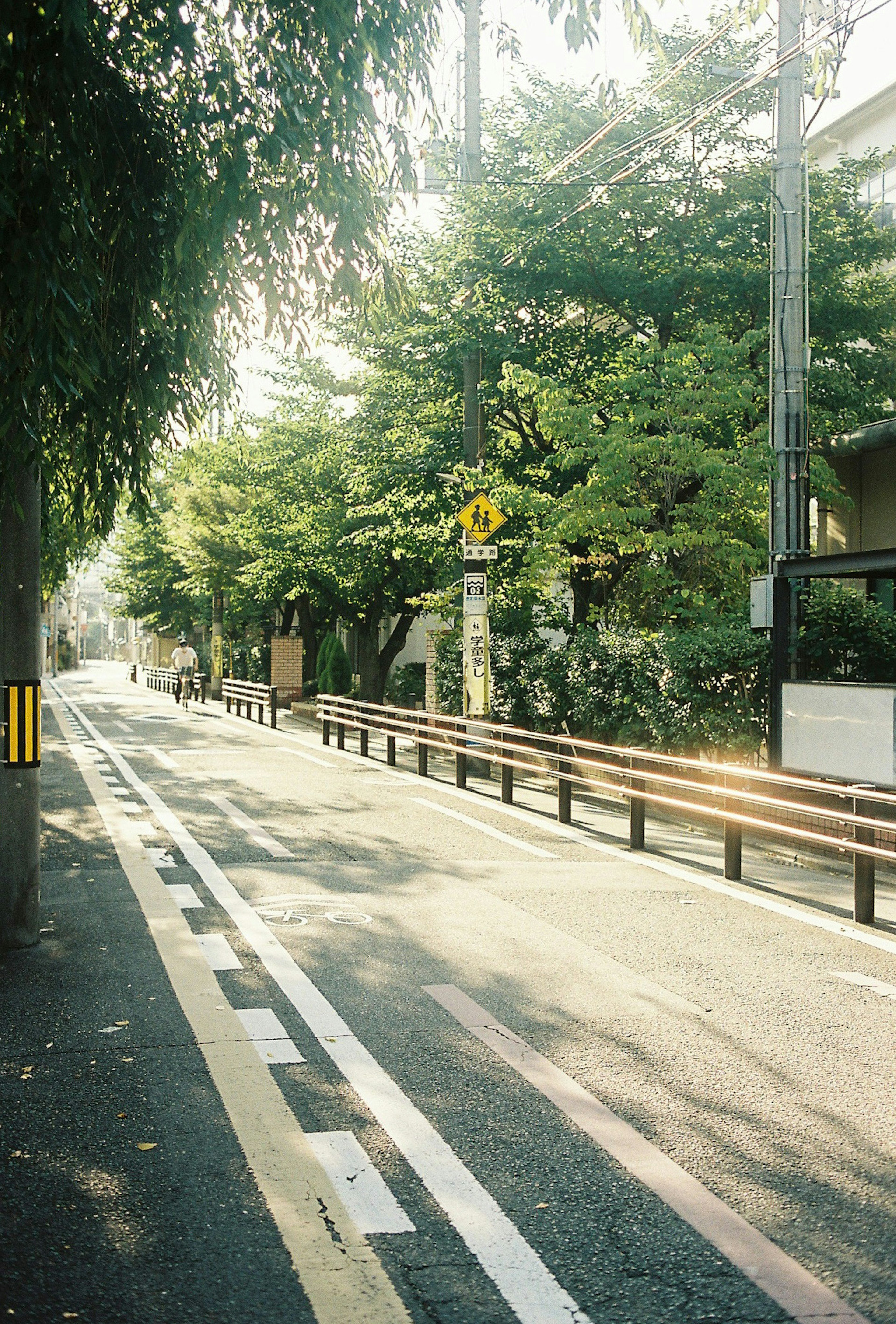 Rue calme bordée d'arbres luxuriants et d'un panneau de signalisation