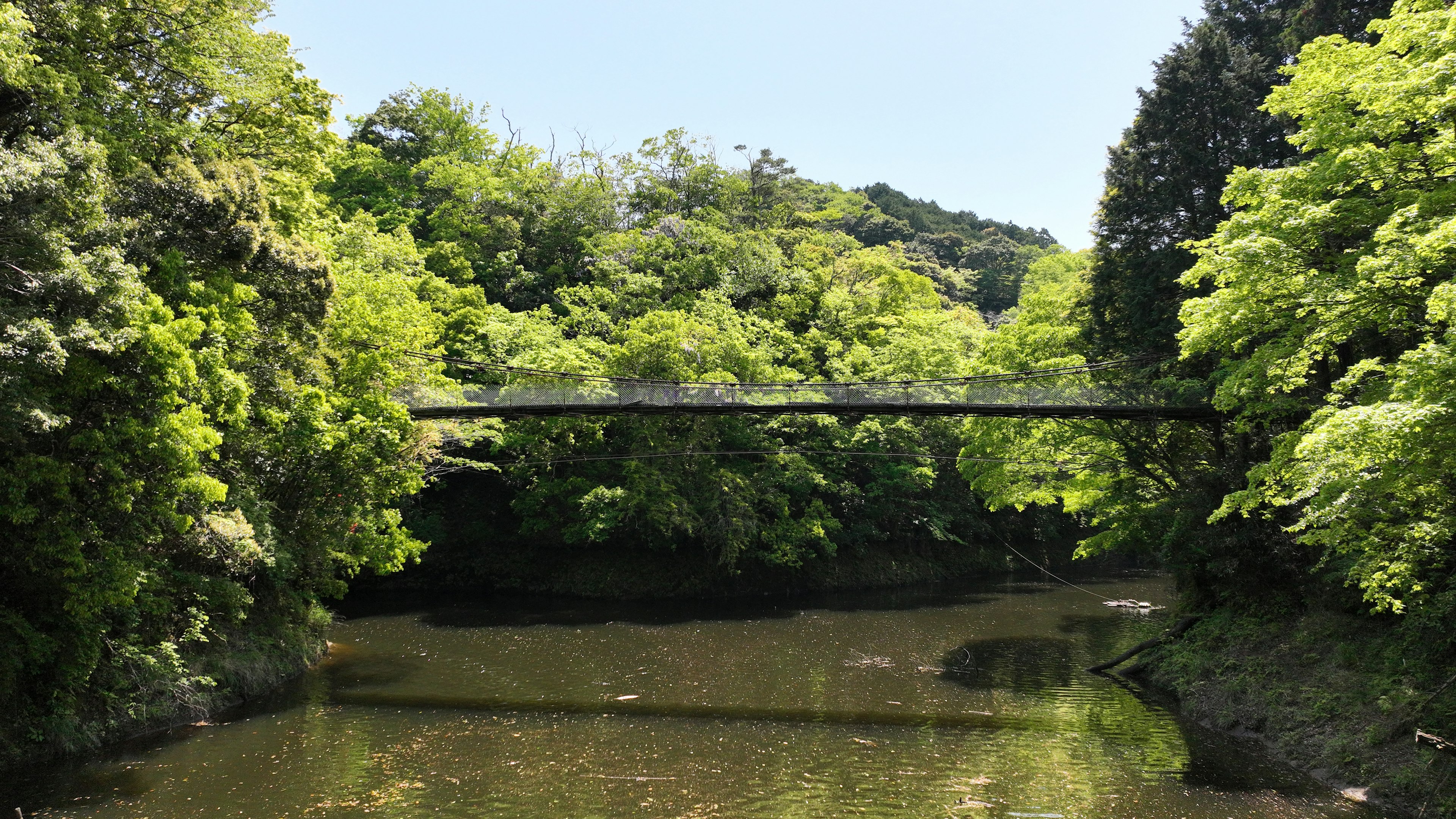 一座橫跨寧靜河流的橋，周圍環繞著郁郁蔥蔥的樹木