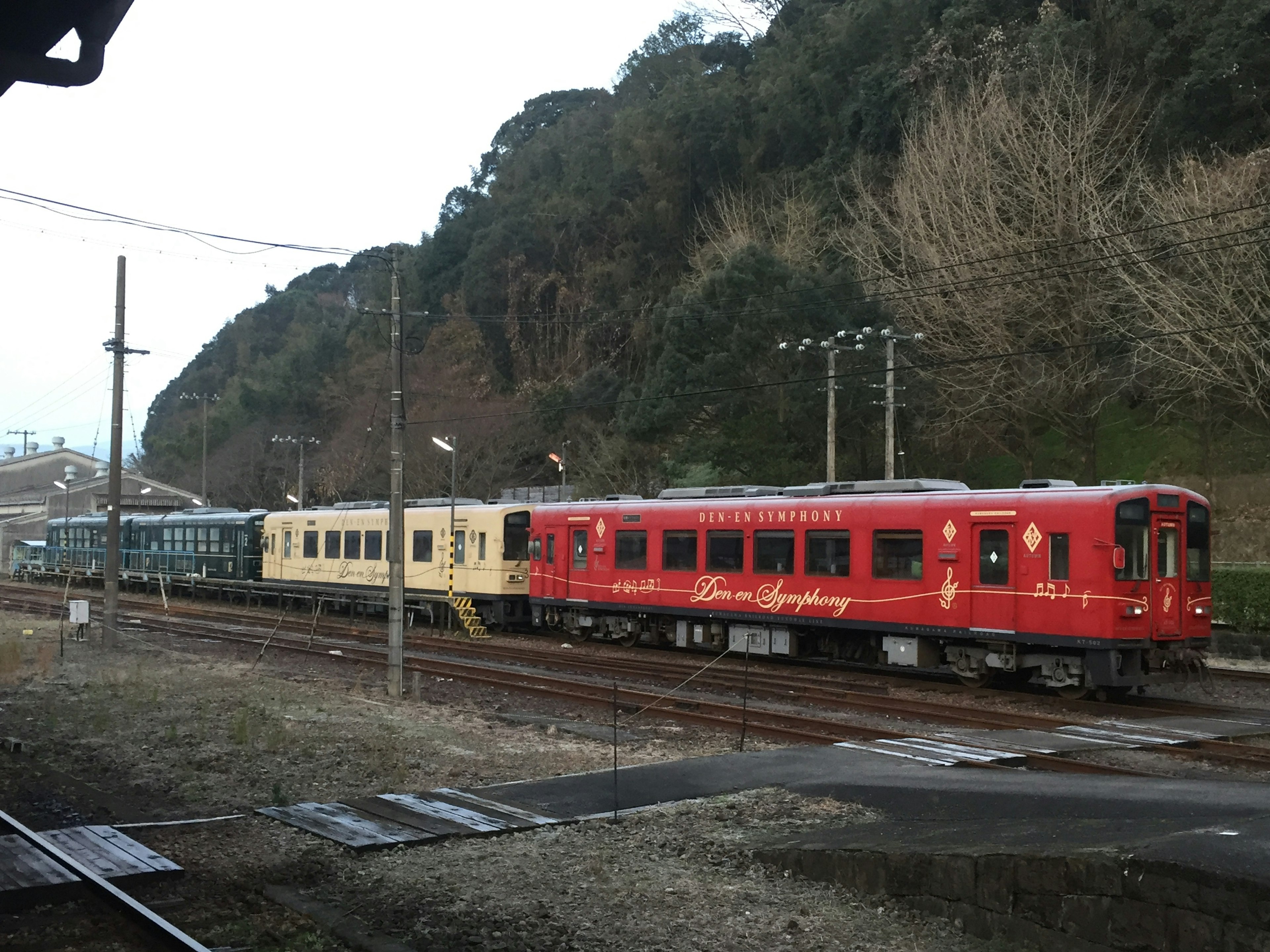 Red train and yellow train parked on the tracks in a scenic landscape