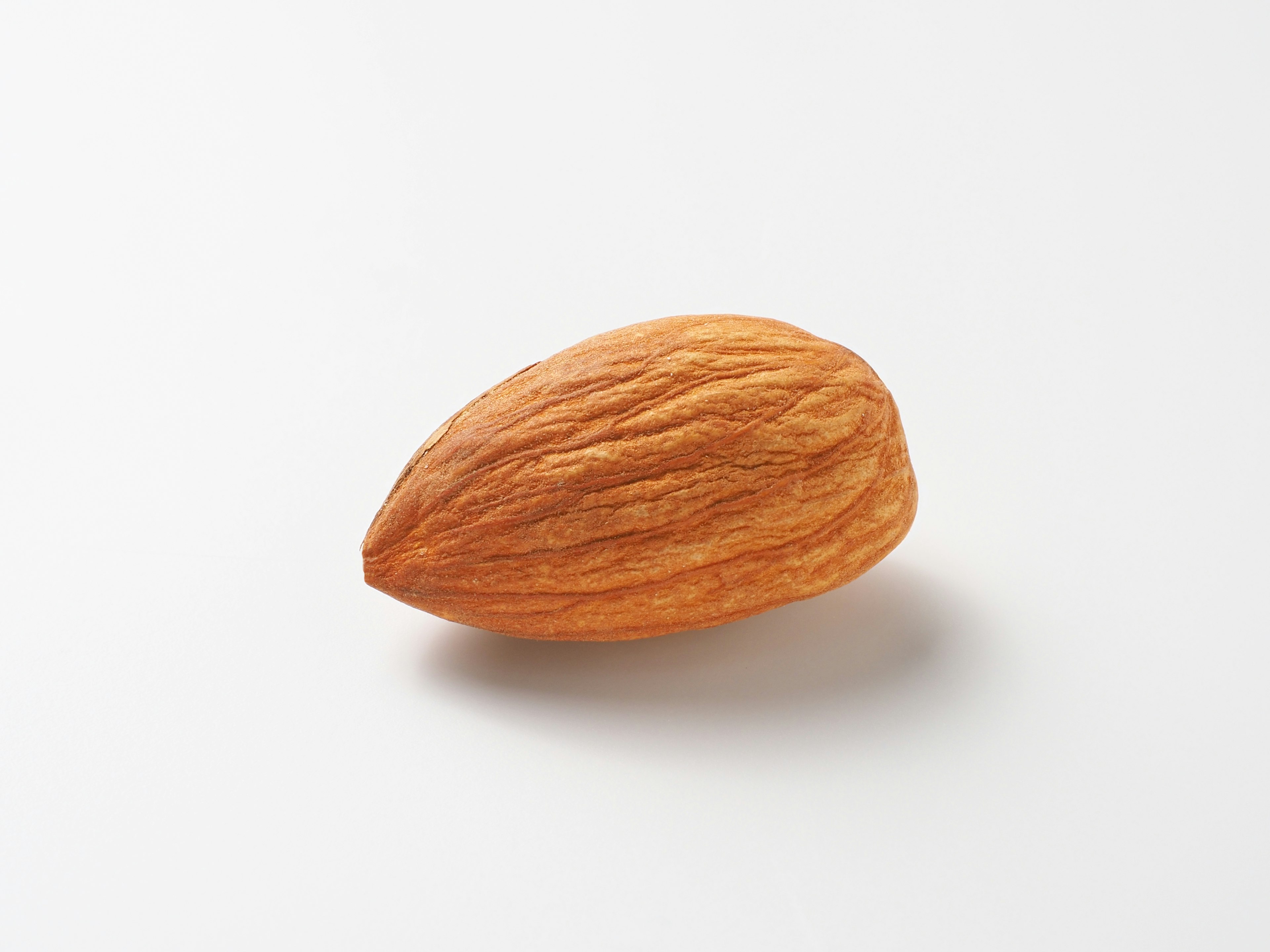 Close-up of a single almond with textured surface