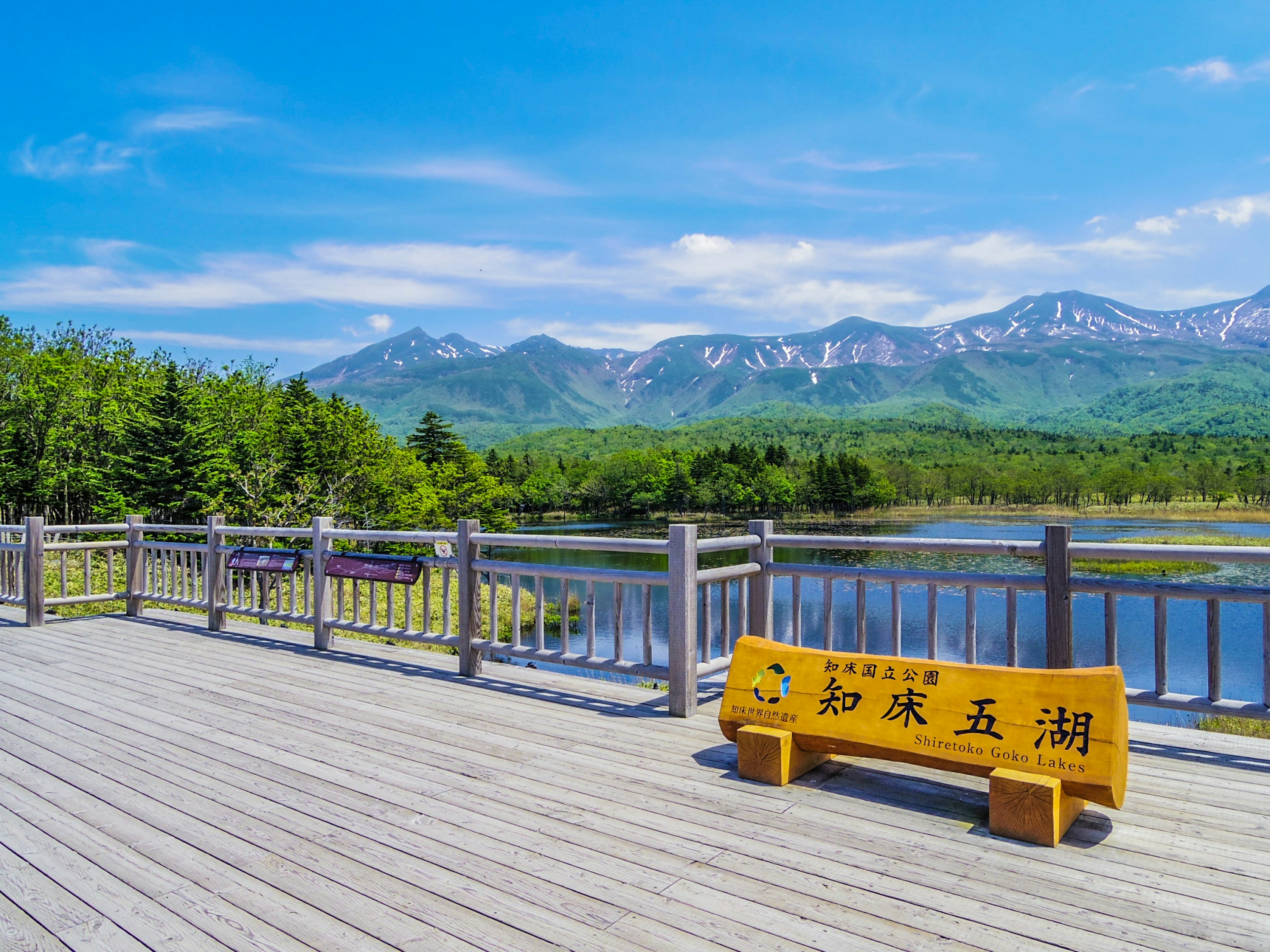 Vue panoramique d'une terrasse en bois surplombant un lac et une végétation luxuriante