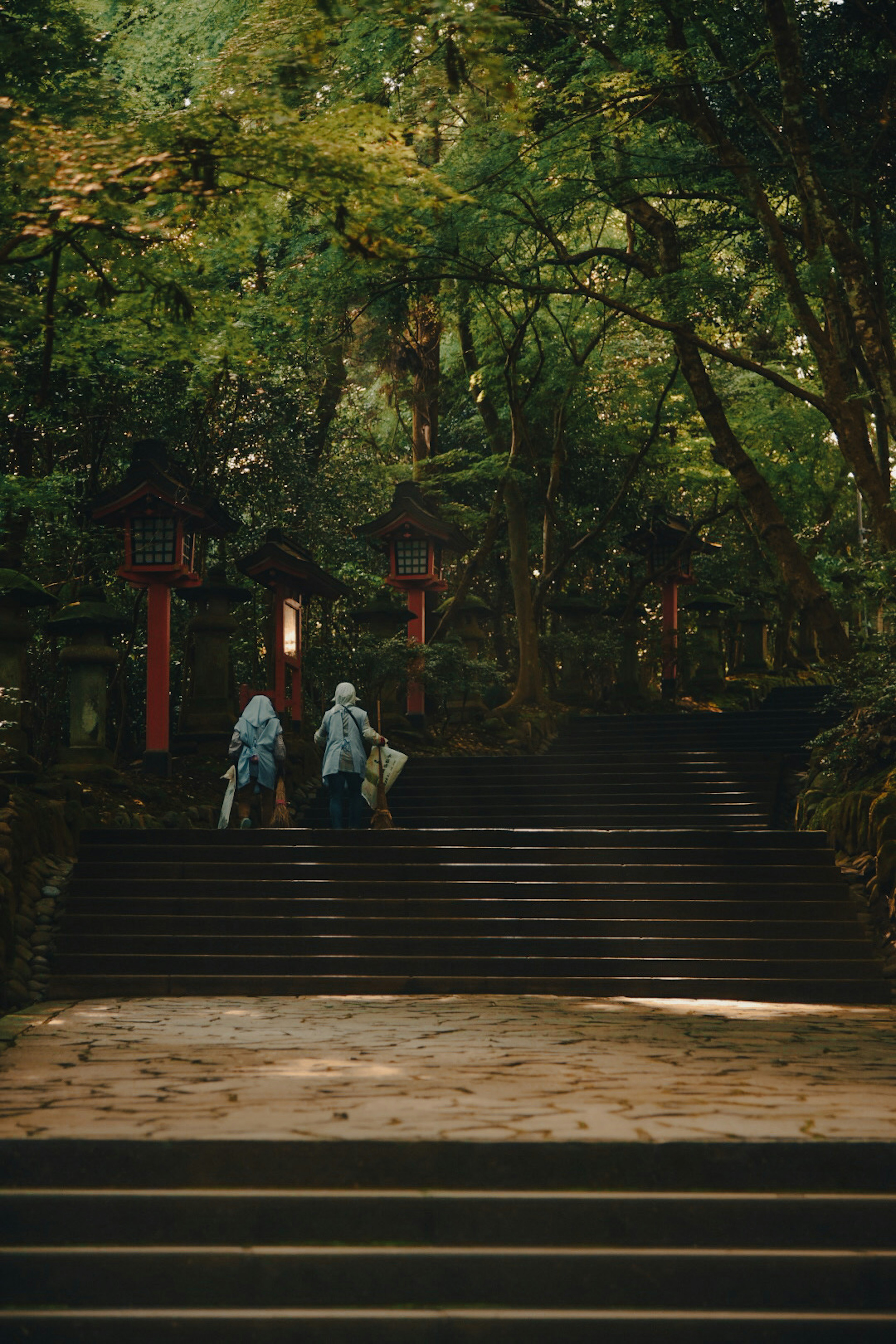 Two individuals walking up a stone staircase surrounded by lush greenery