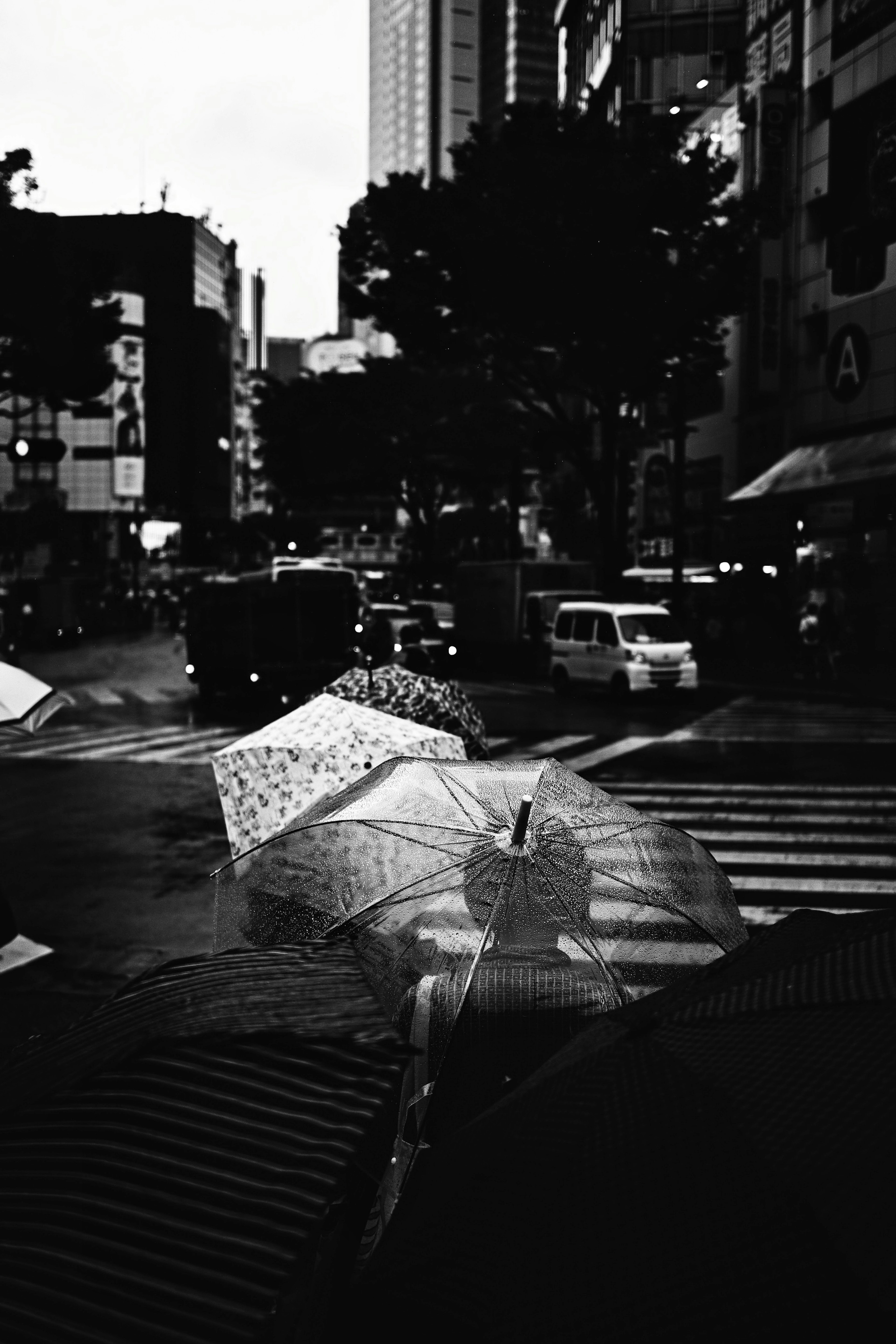 雨の中の傘と都市の風景のモノクロ画像