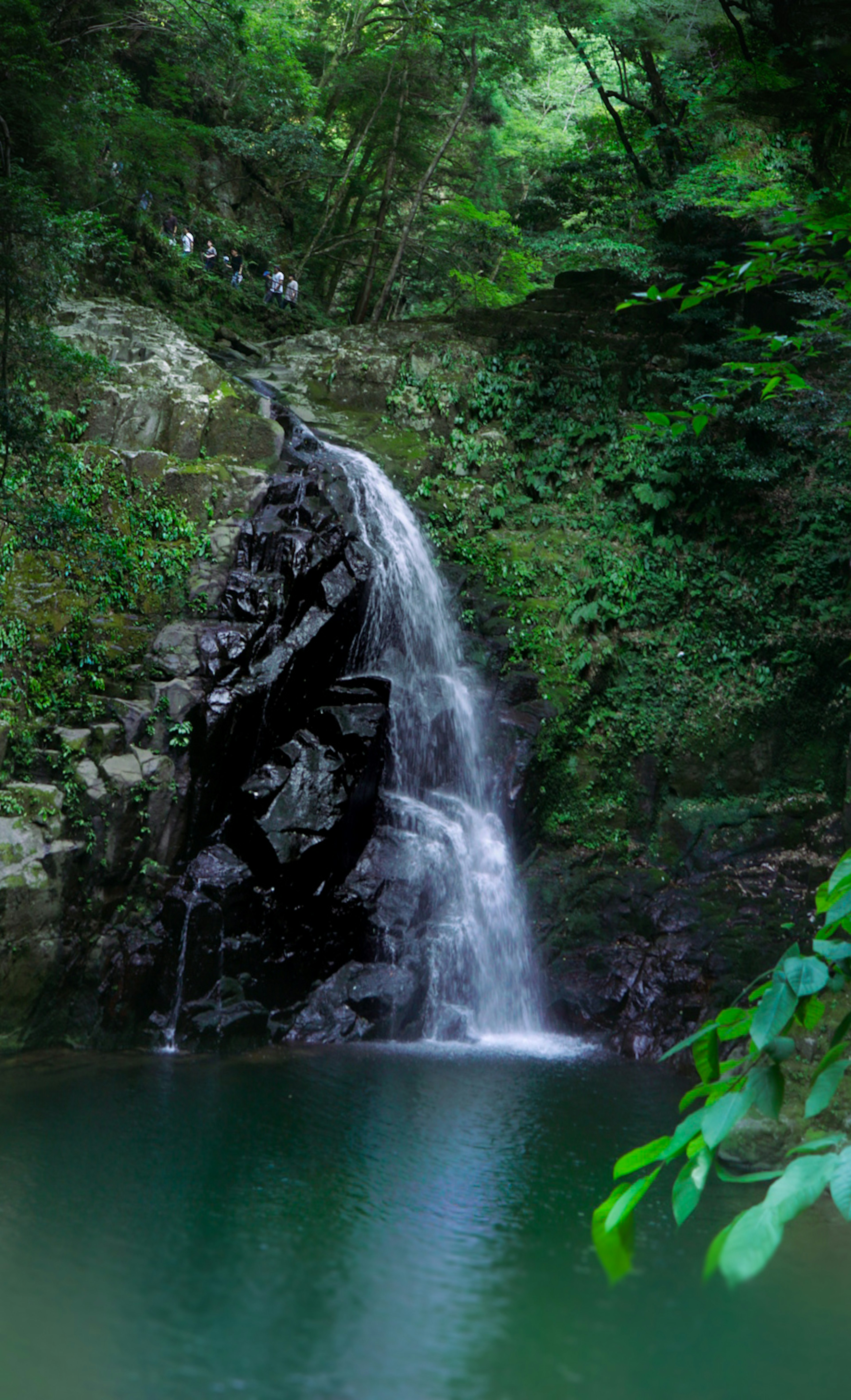 Air terjun mengalir ke kolam hijau tenang dikelilingi oleh dedaunan subur