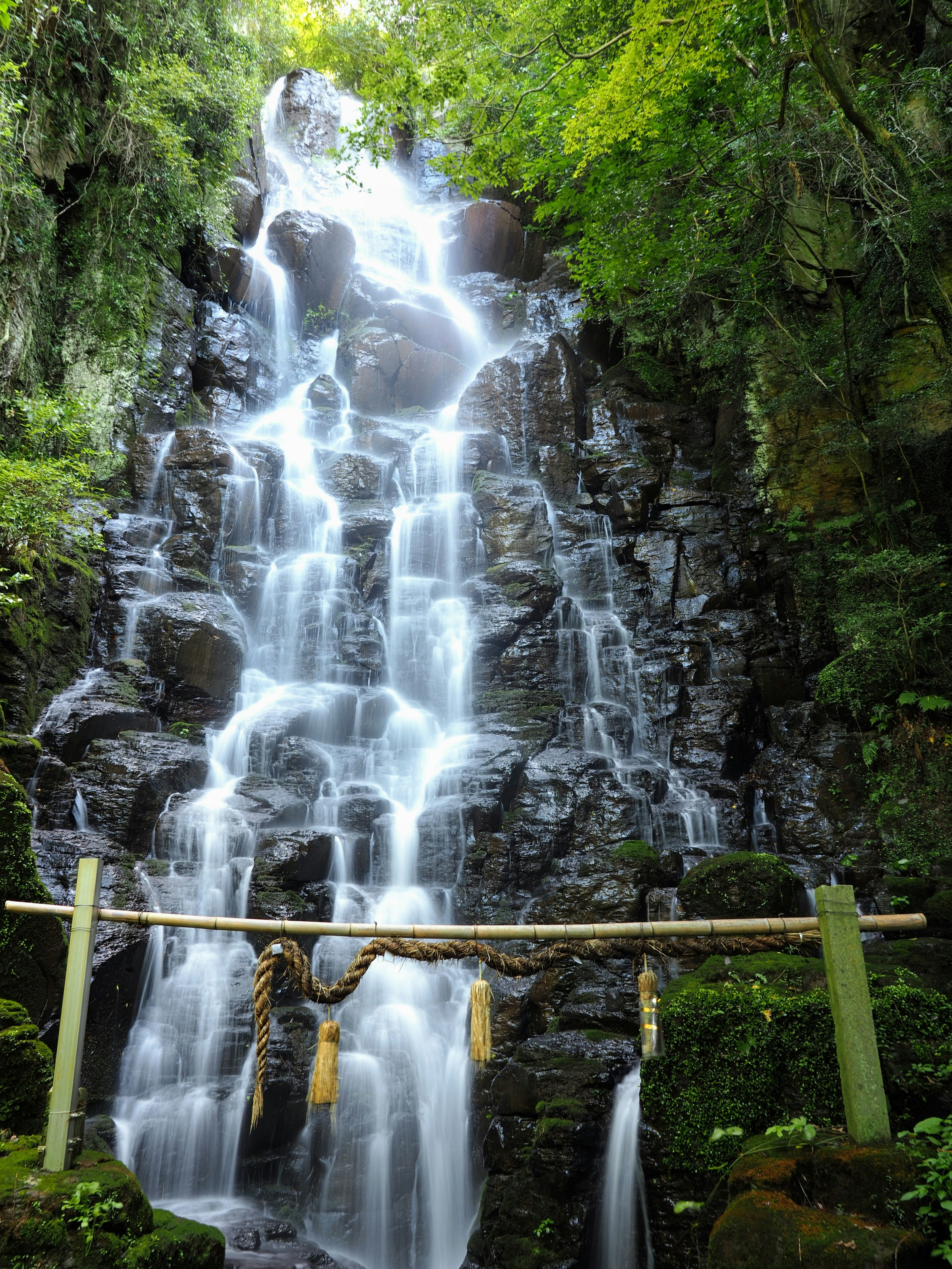 Una bellissima cascata in una foresta lussureggiante con un torii di legno davanti