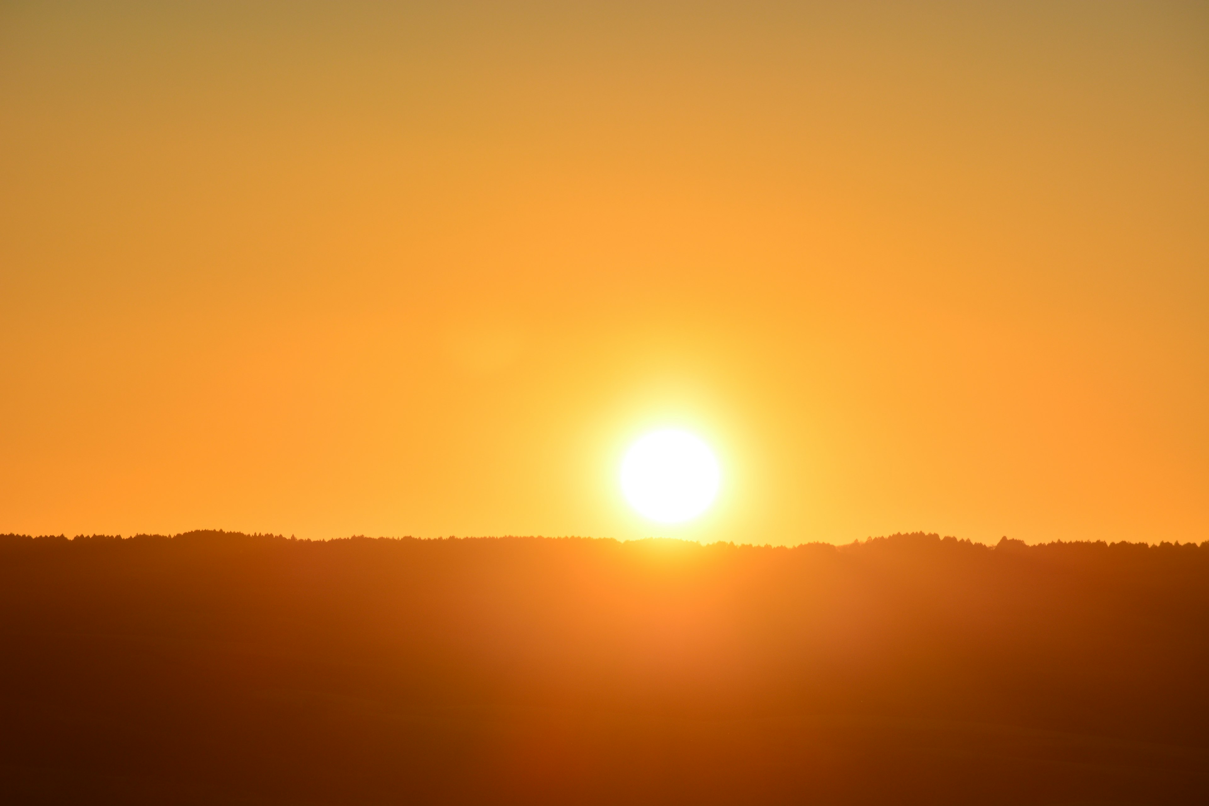 夕日が地平線に沈む美しい風景