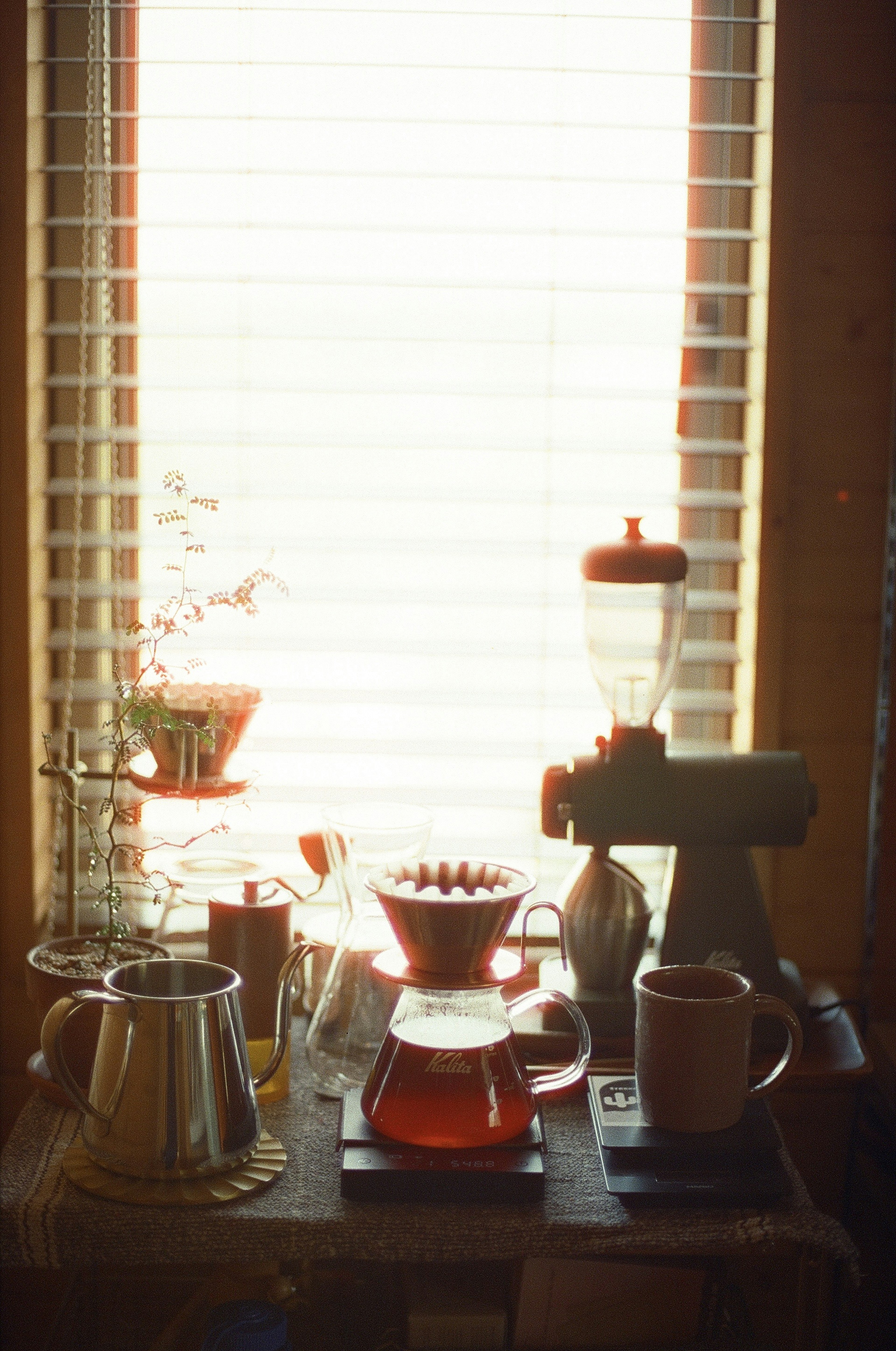 Una escena serena con equipo de café y una planta junto a una ventana