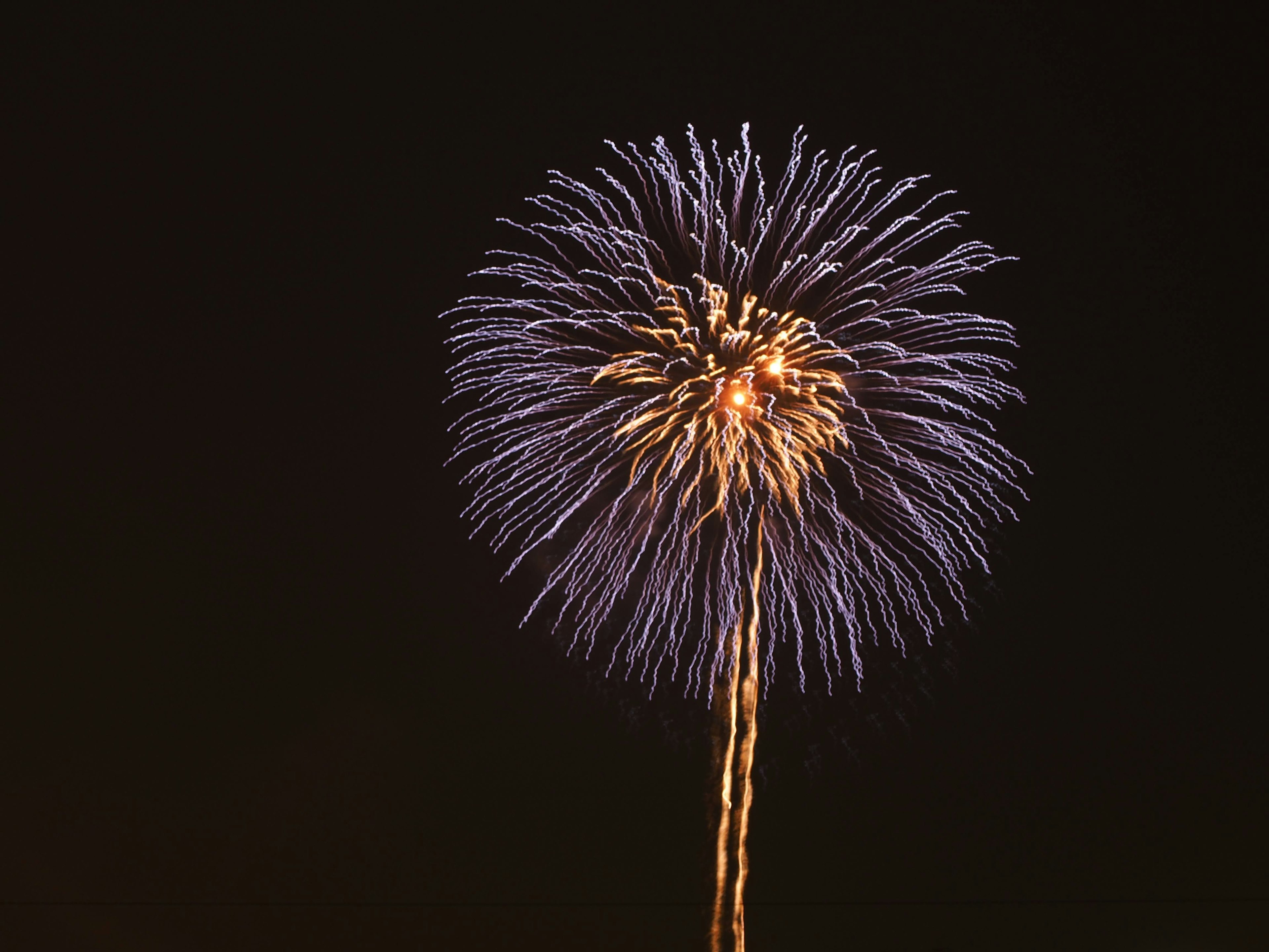 Explosion de feu d'artifice dans le ciel nocturne