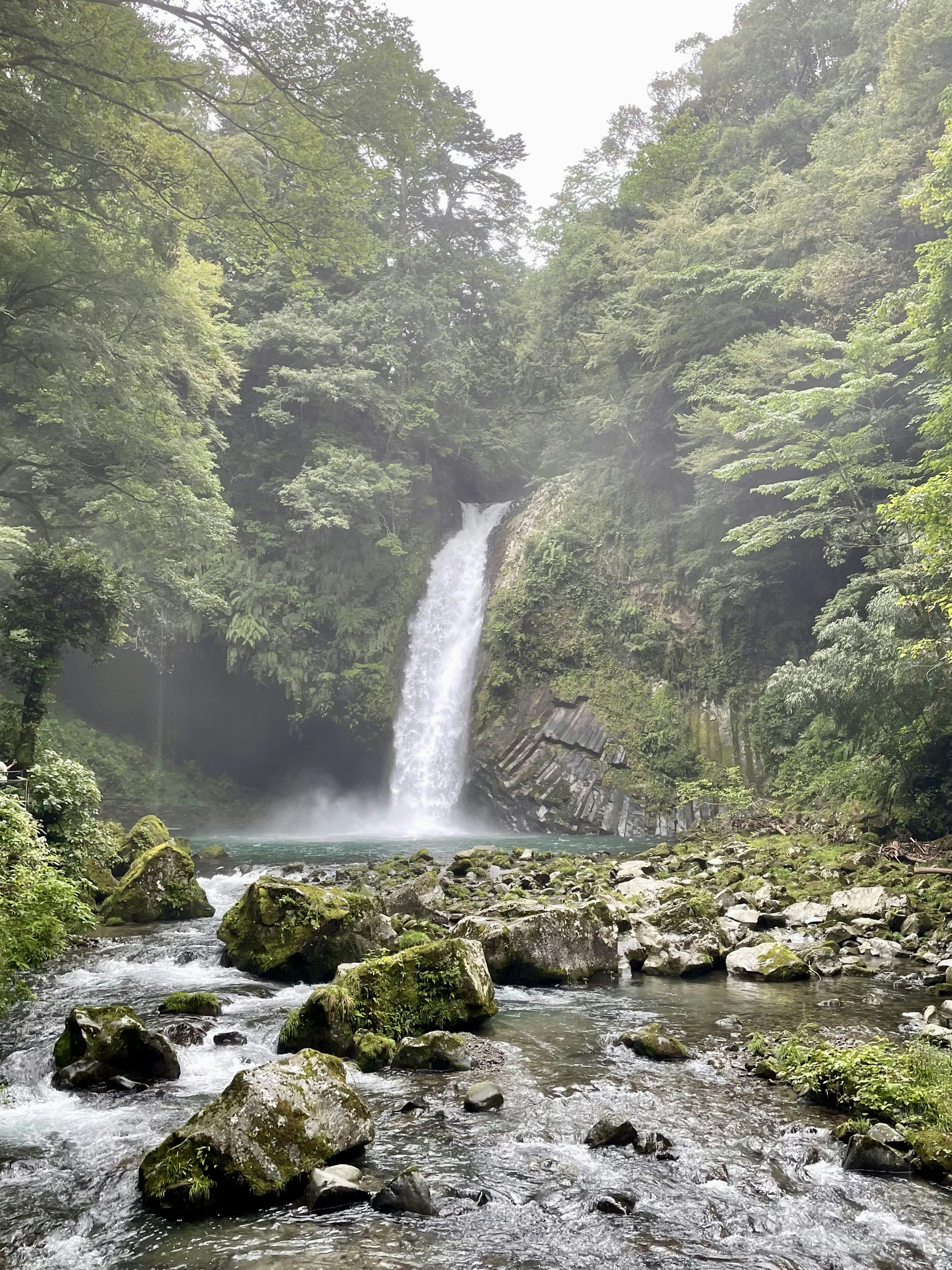 Una hermosa cascada rodeada de vegetación exuberante y agua clara