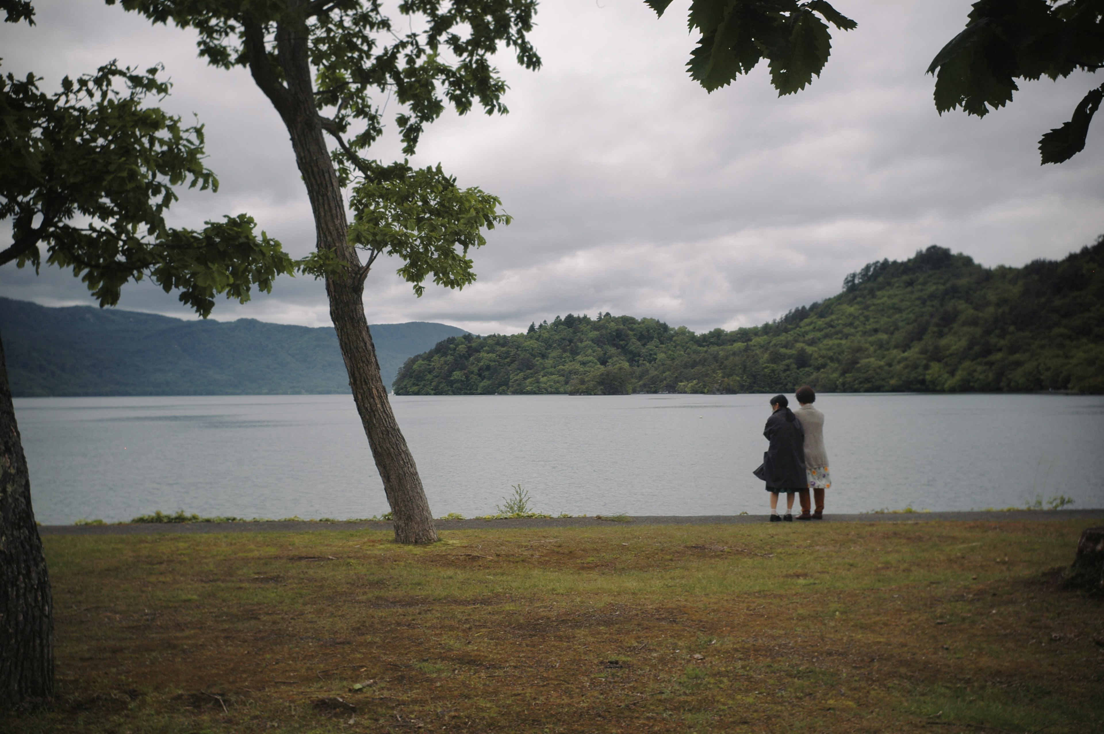 Two people standing quietly by the lake surrounded by green trees