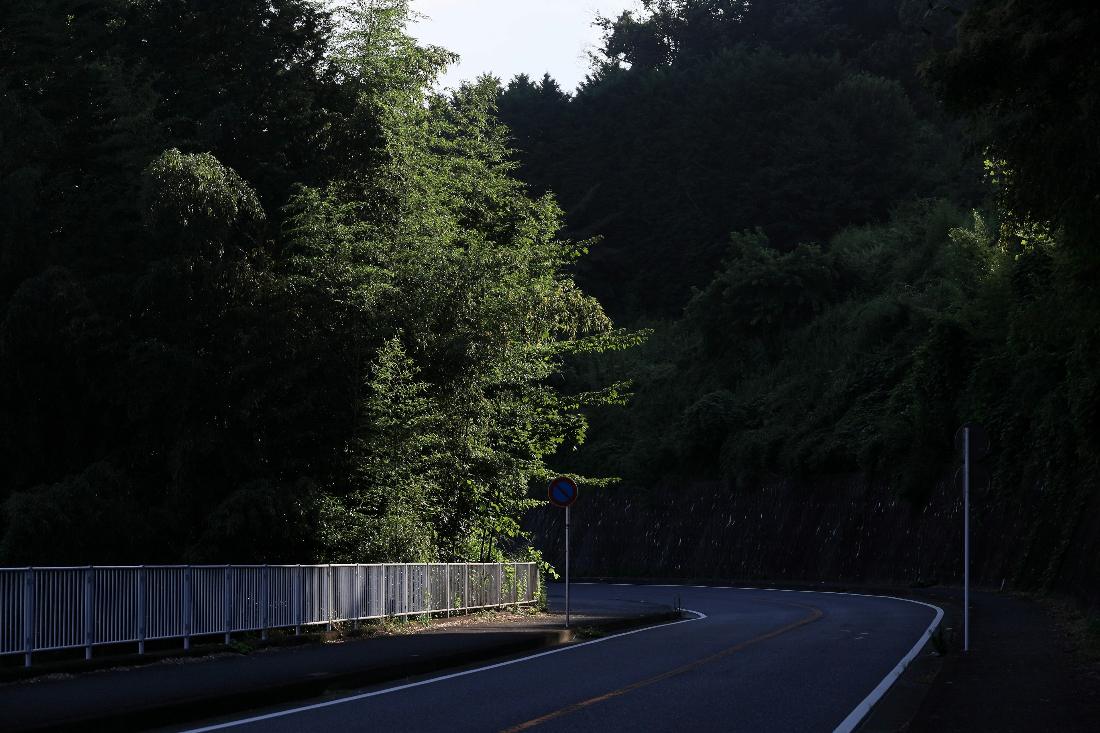 Route courbe entourée d'une végétation luxuriante