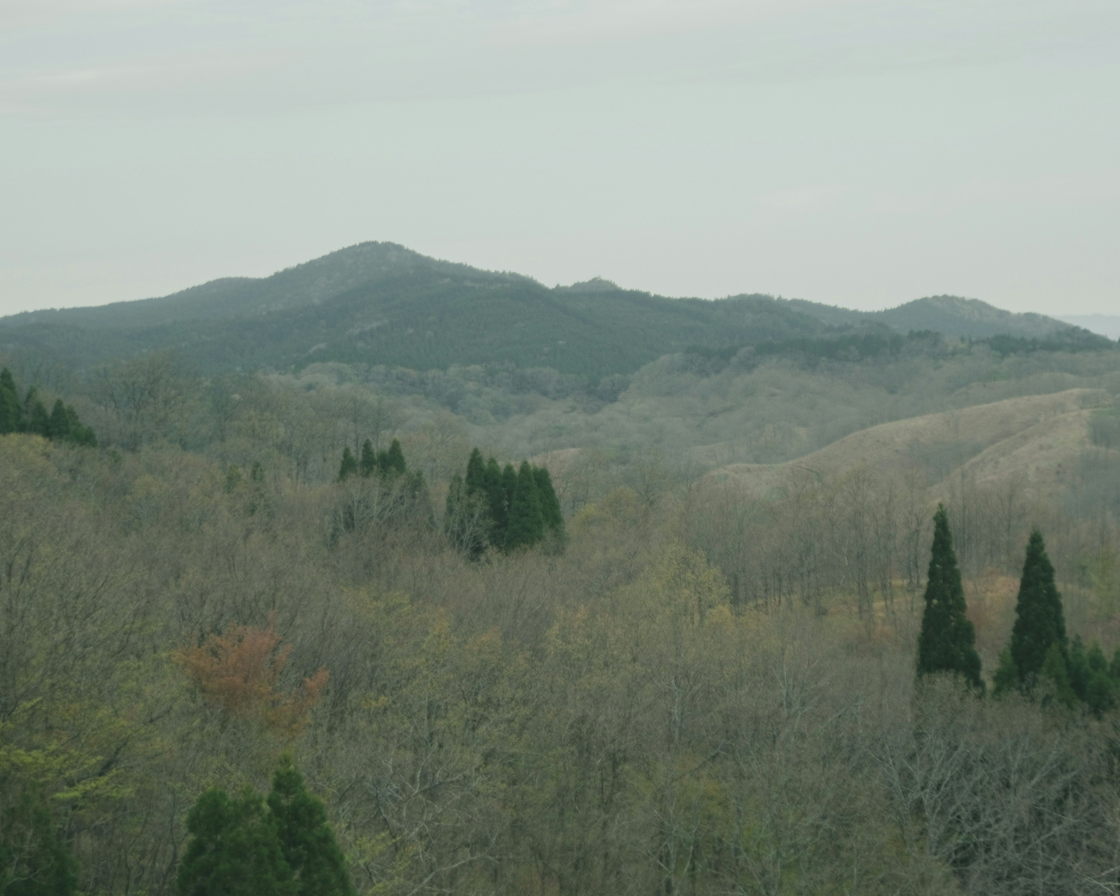 秋季风景，山脉和树木