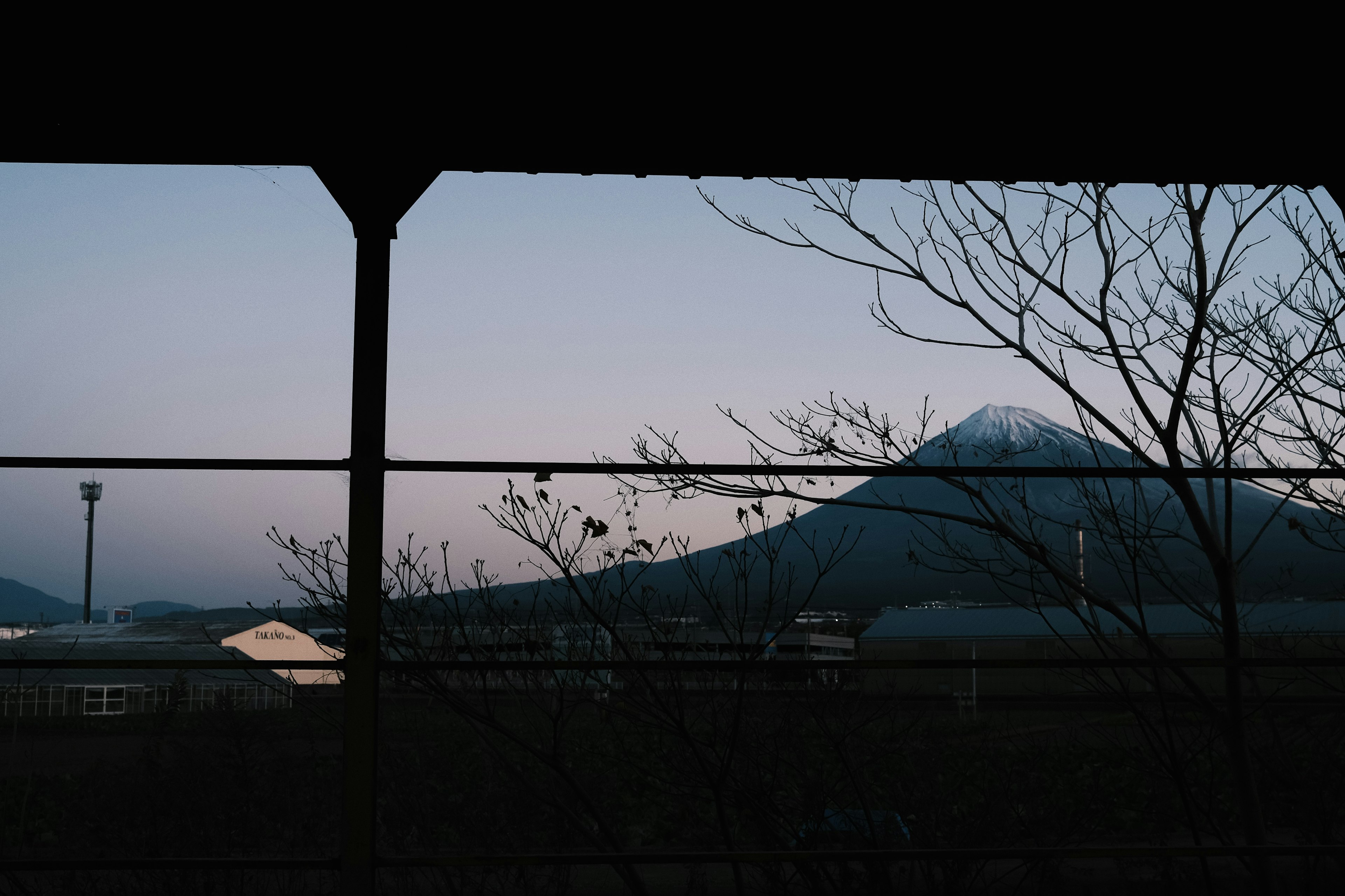 Silhouette of Mount Fuji framed by branches at dusk