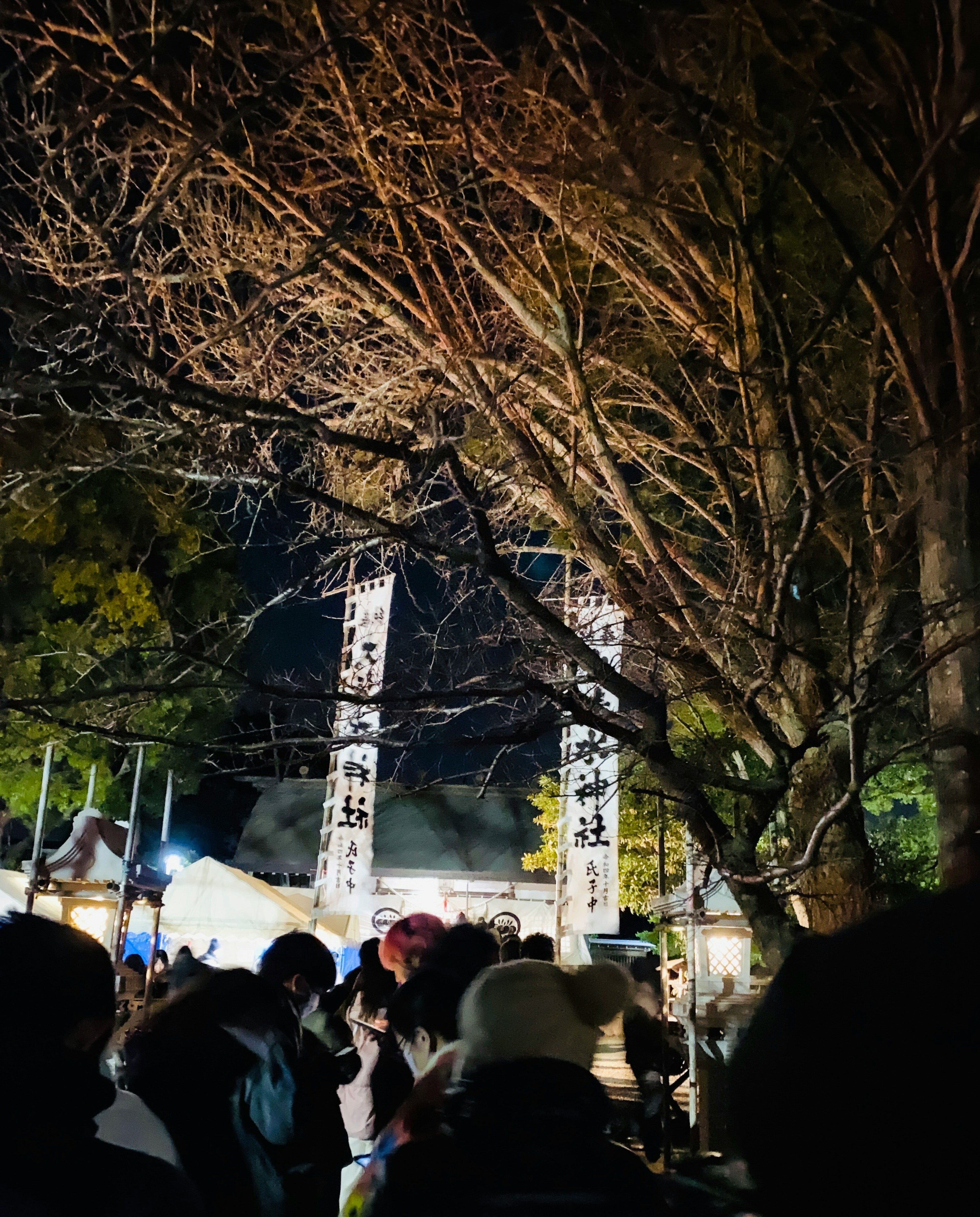 夜の祭りの雰囲気が漂う木々と人々が集まるシーン