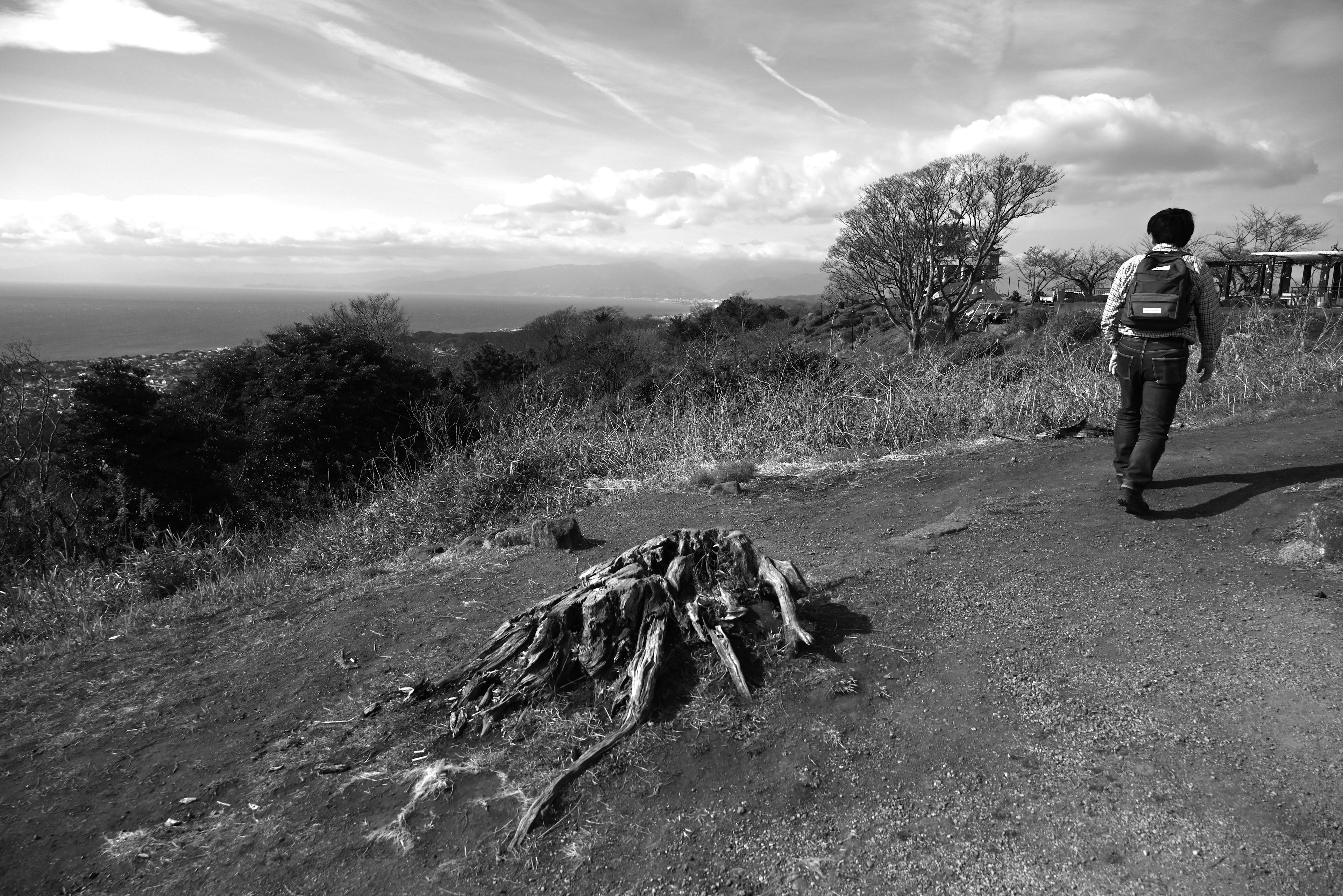 A person walking along a path next to a tree stump with a scenic view