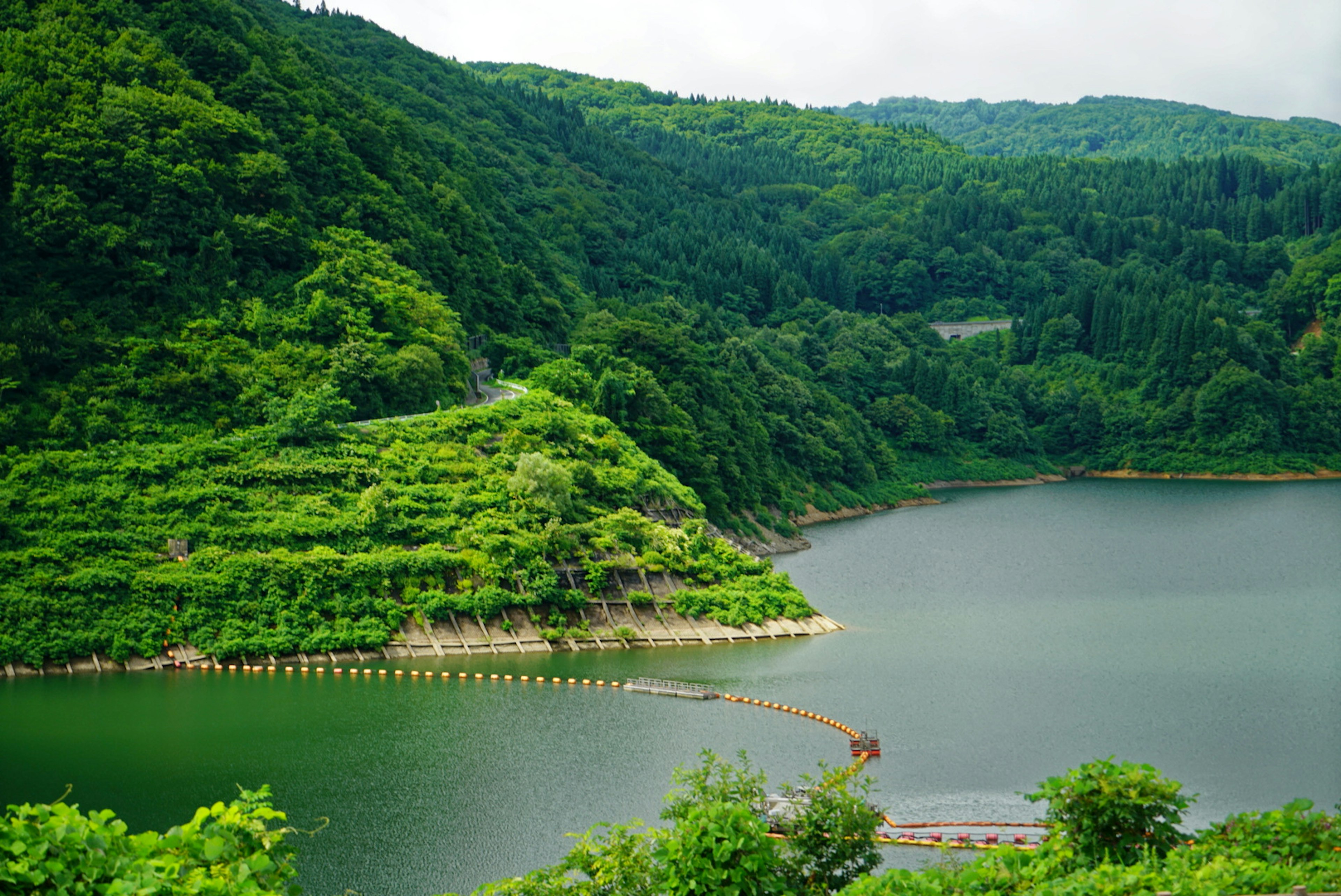 Vista escénica de un lago tranquilo rodeado de colinas verdes