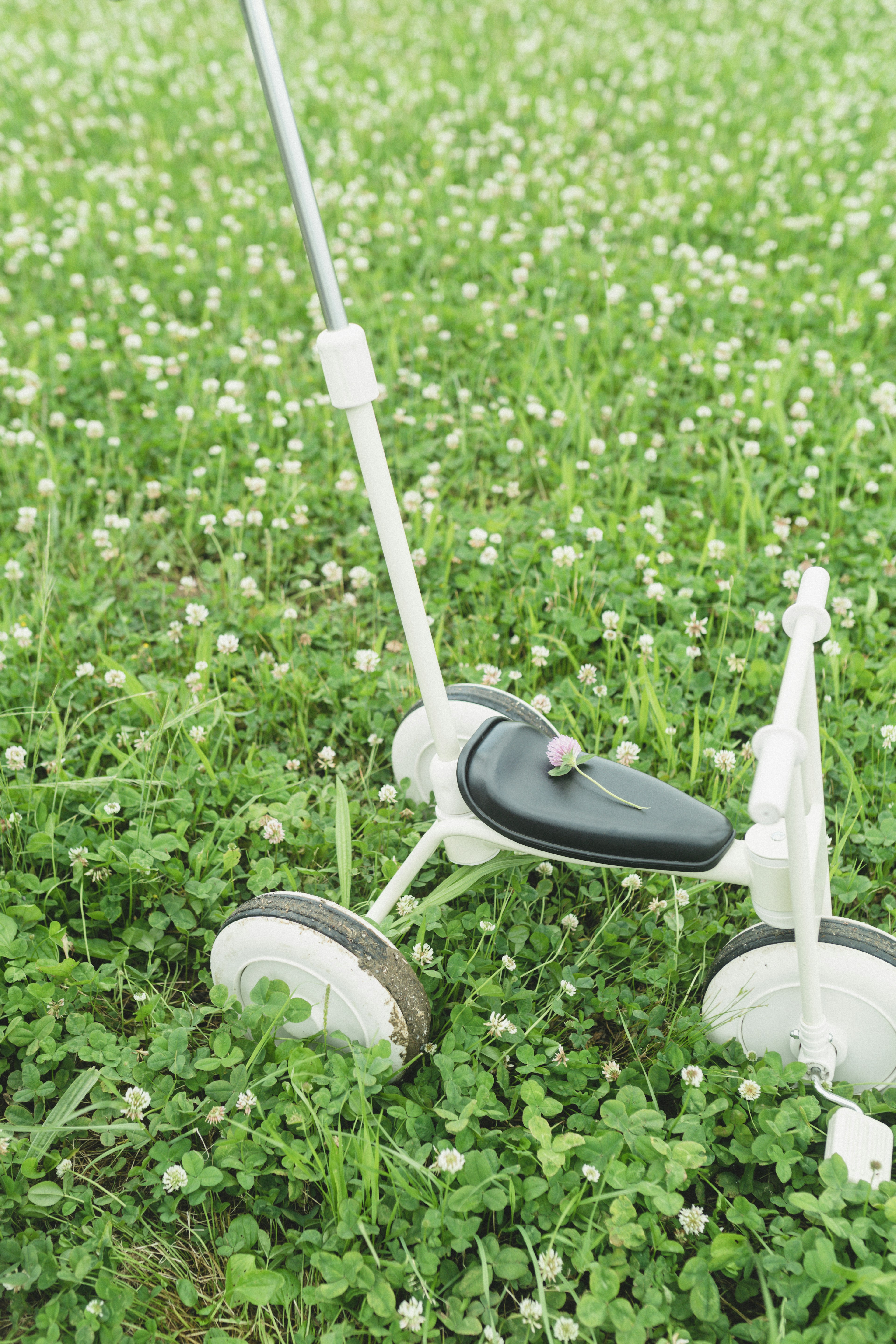 Un tricycle blanc posé parmi le trèfle vert