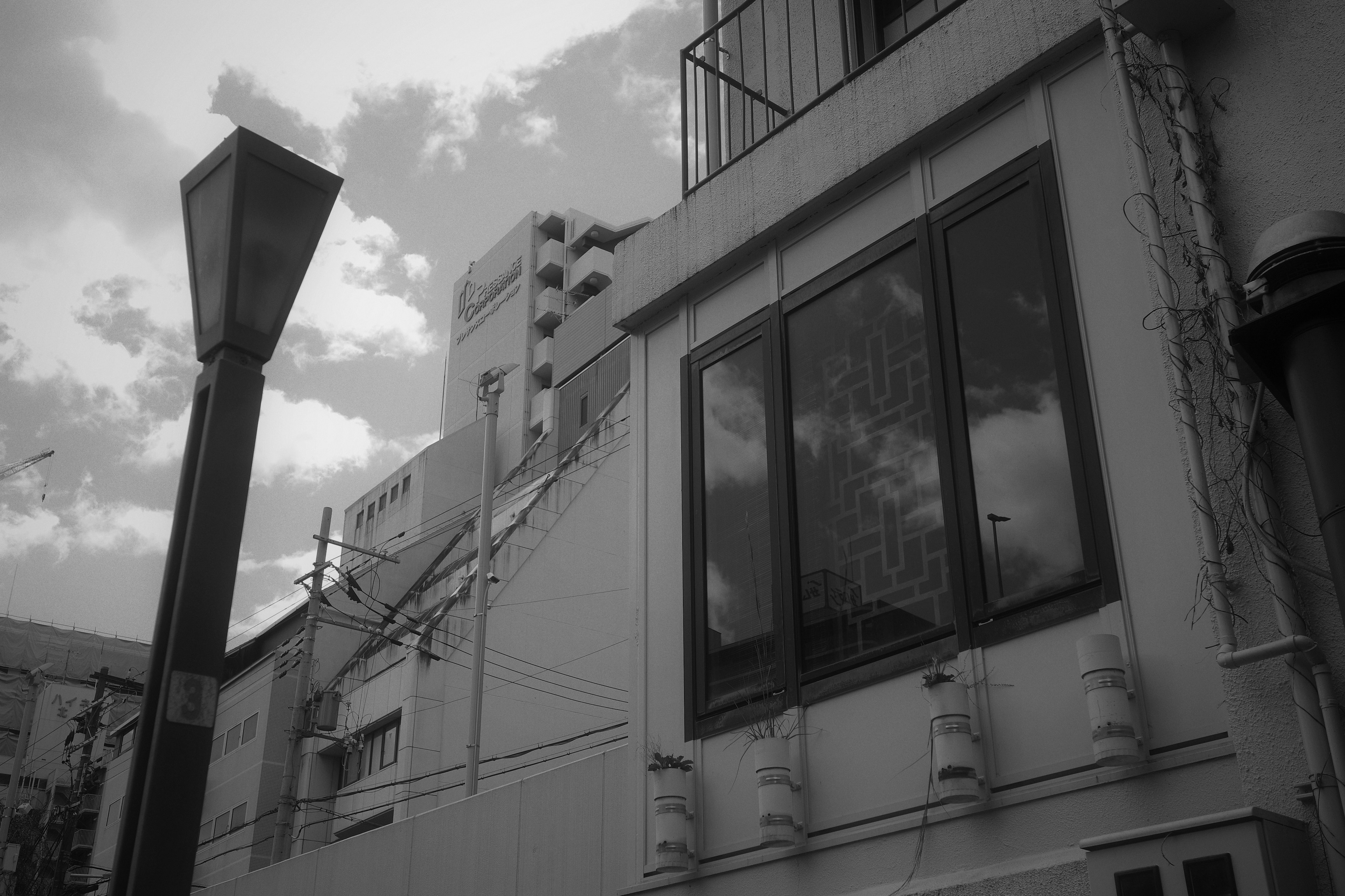 Escena urbana en blanco y negro con edificios modernos y ventanas de vidrio