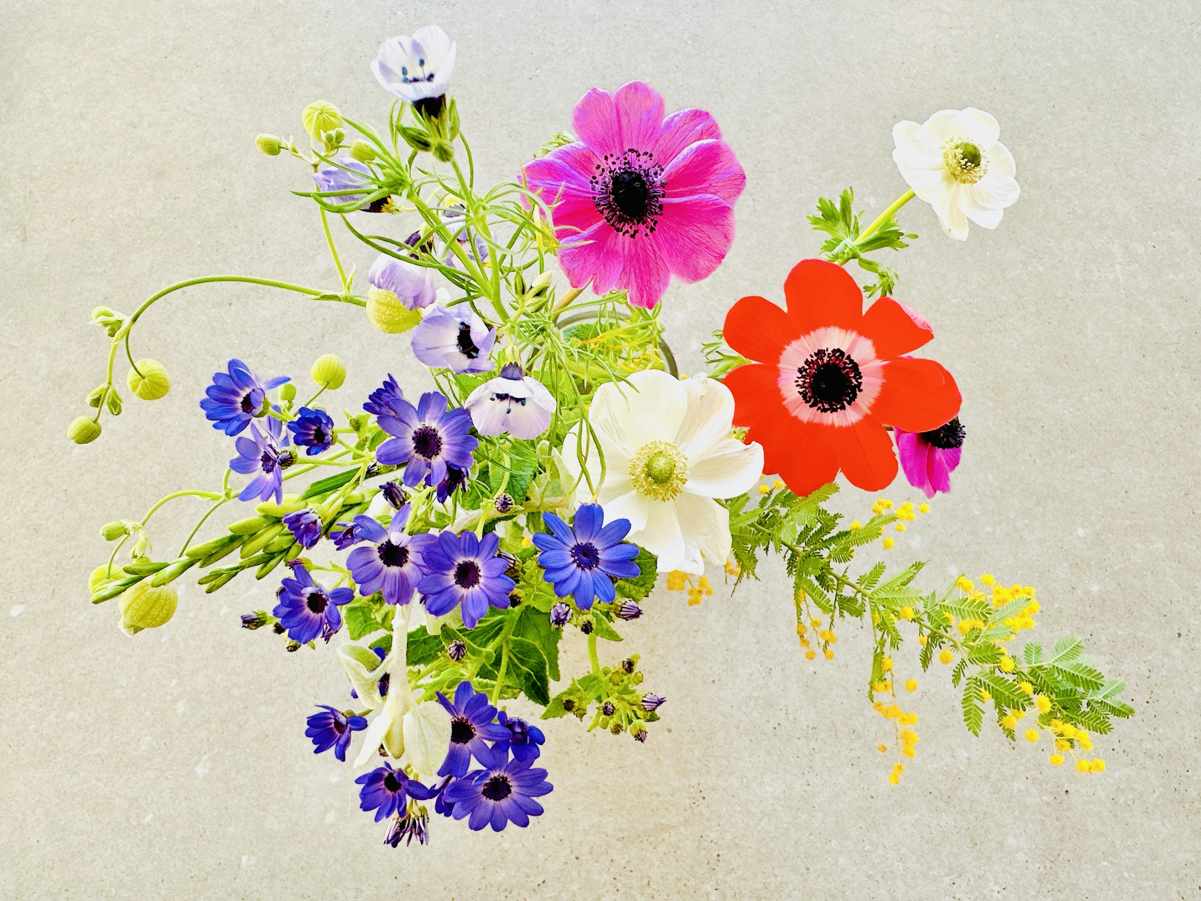 Composizione floreale colorata con vari tipi di fiori