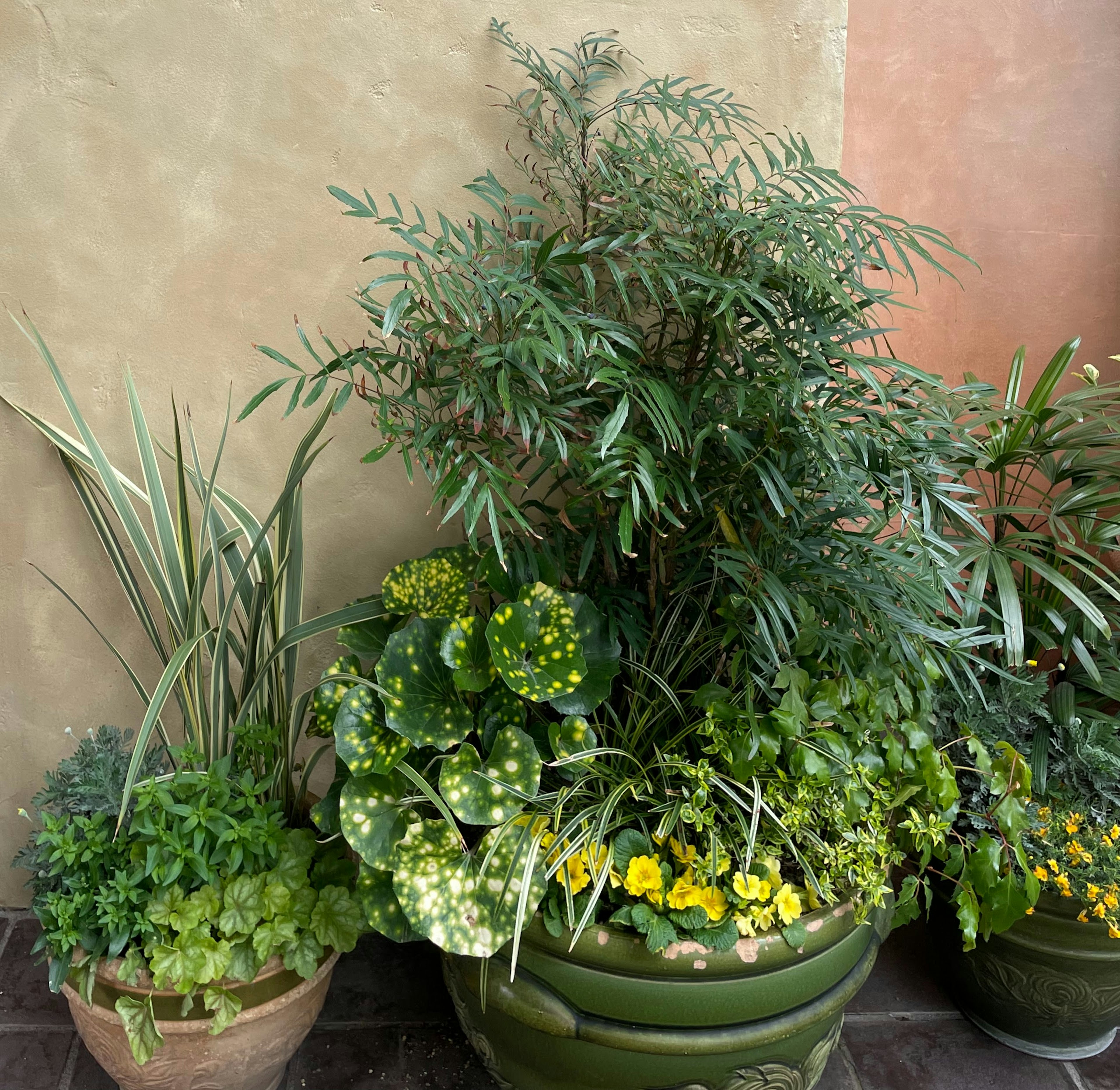 Grandi vasi pieni di piante verdi lussureggianti e fiori in un arrangiamento decorativo