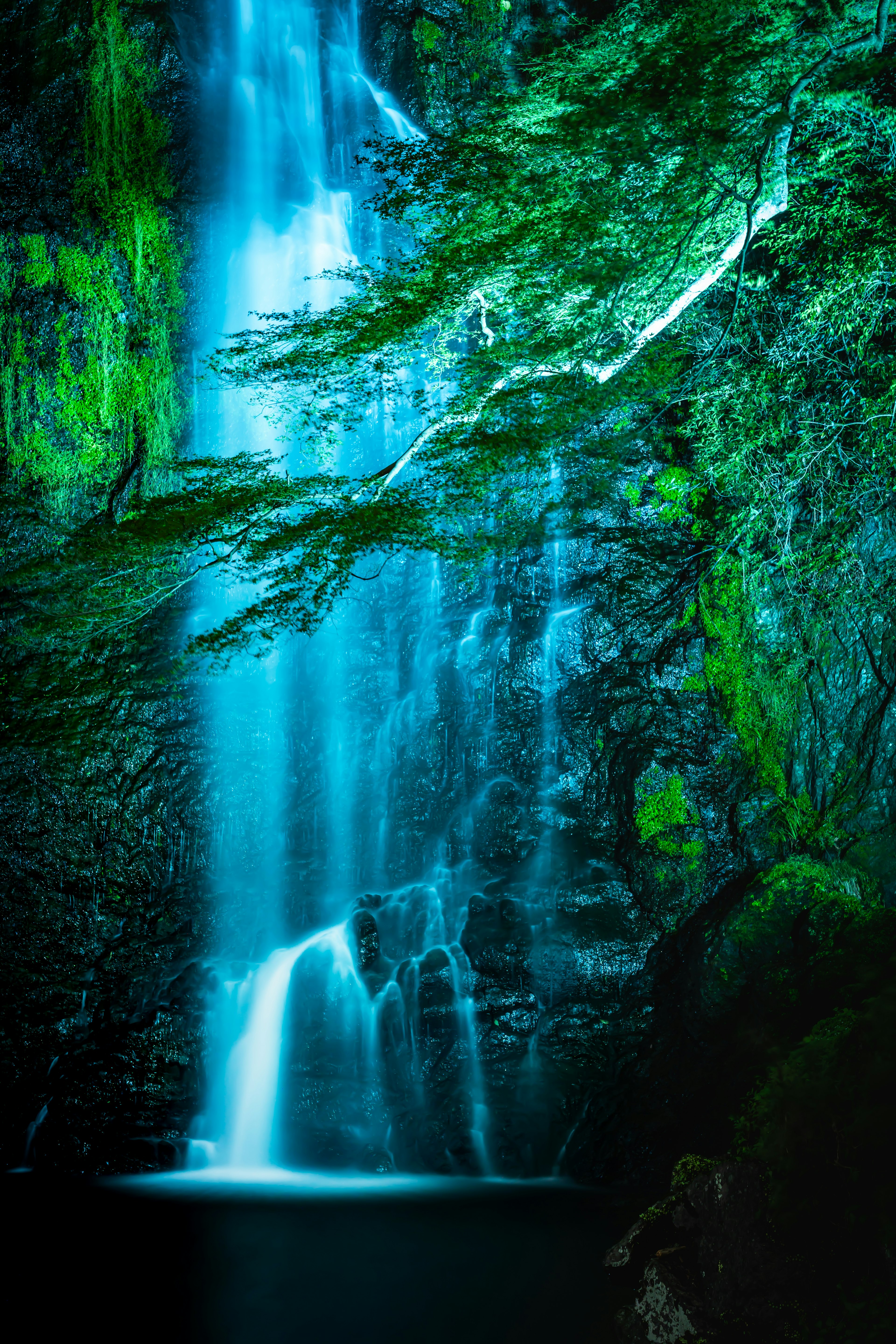 A beautiful waterfall cascading blue water surrounded by green trees