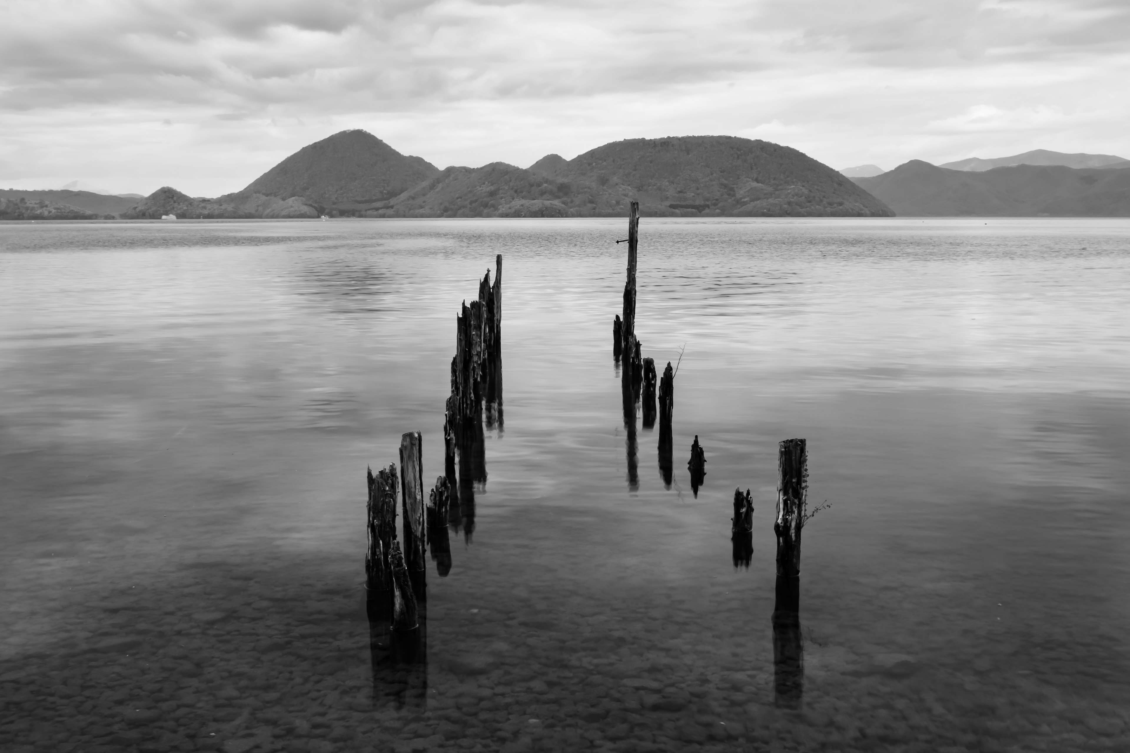 Old wooden posts standing in a calm lake with distant mountains