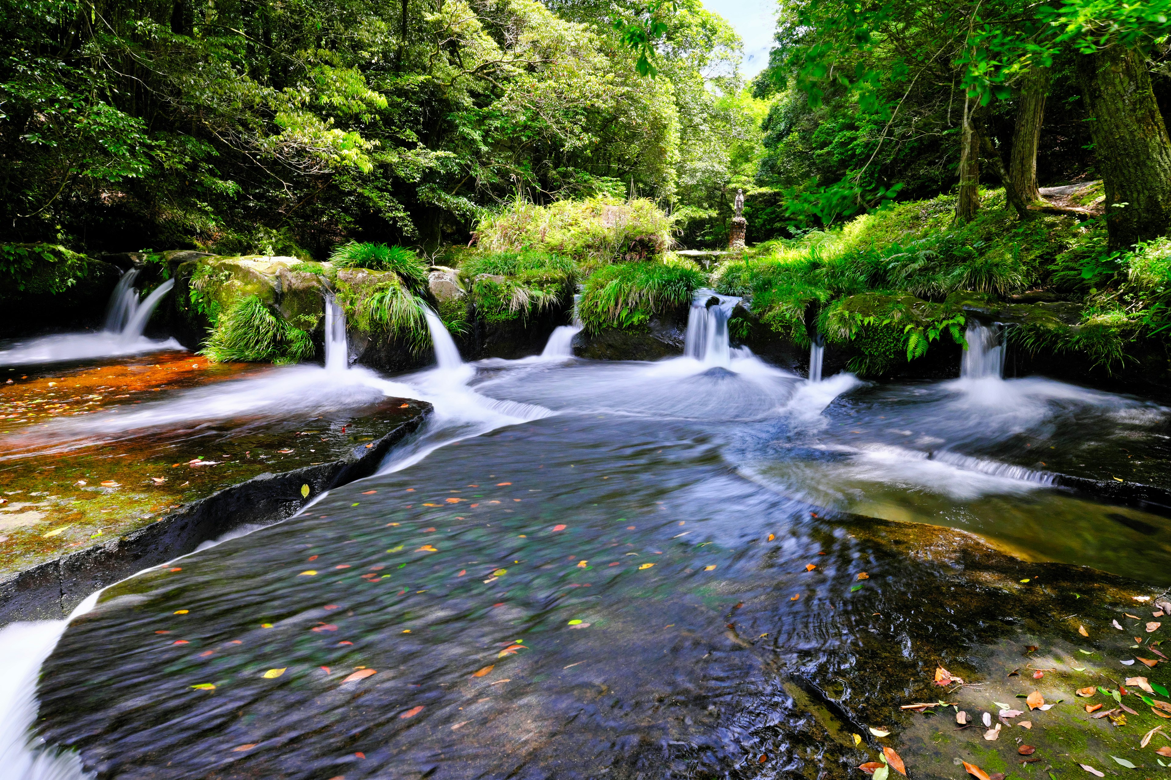 Vista panoramica di un torrente che scorre in una foresta lussureggiante con piccole cascate