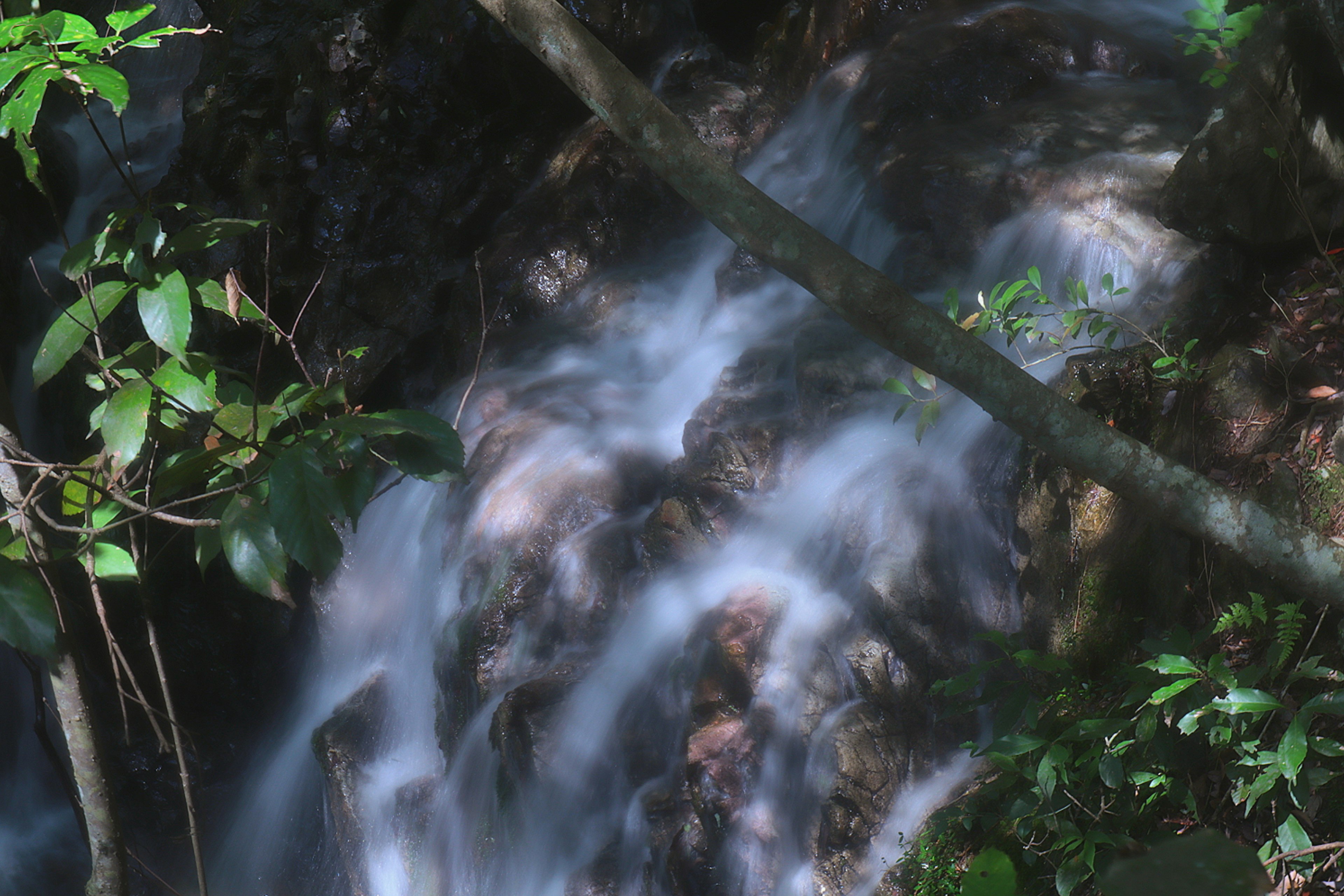 Flowing waterfall in a lush green forest