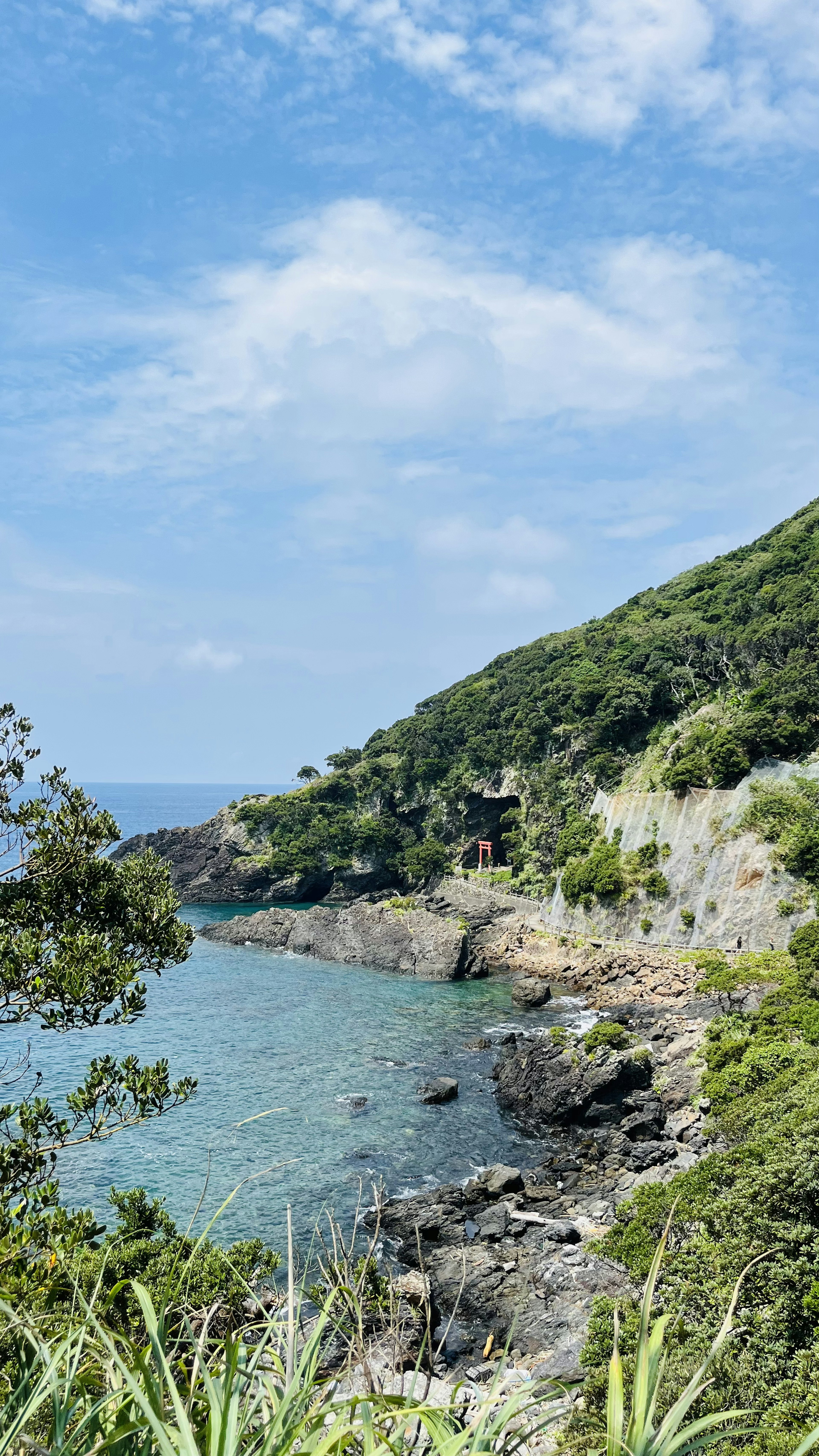 青い海と緑の山々が広がる美しい海岸の風景