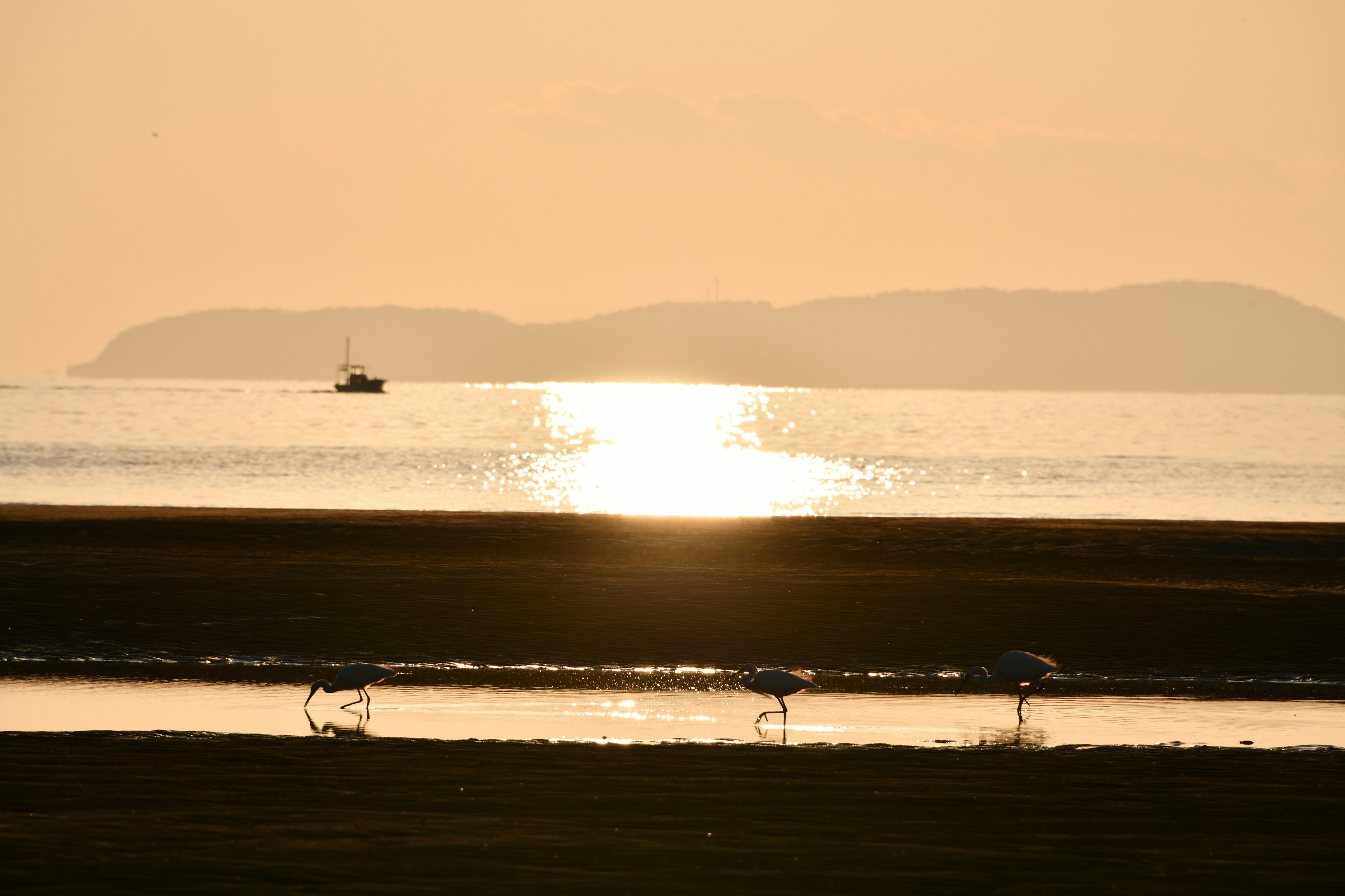 夕焼けの海に浮かぶ漁船とその光を反射する水面