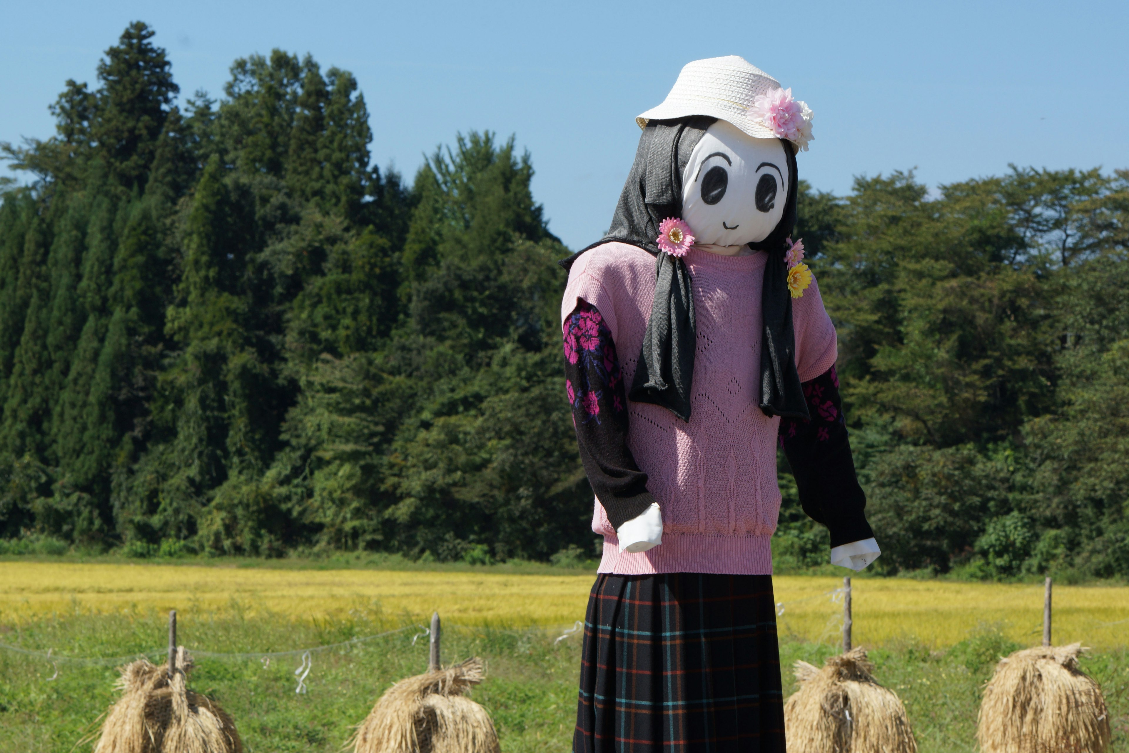 Lindo espantapájaros de pie cerca de un campo de arroz con un suéter rosa y una falda negra