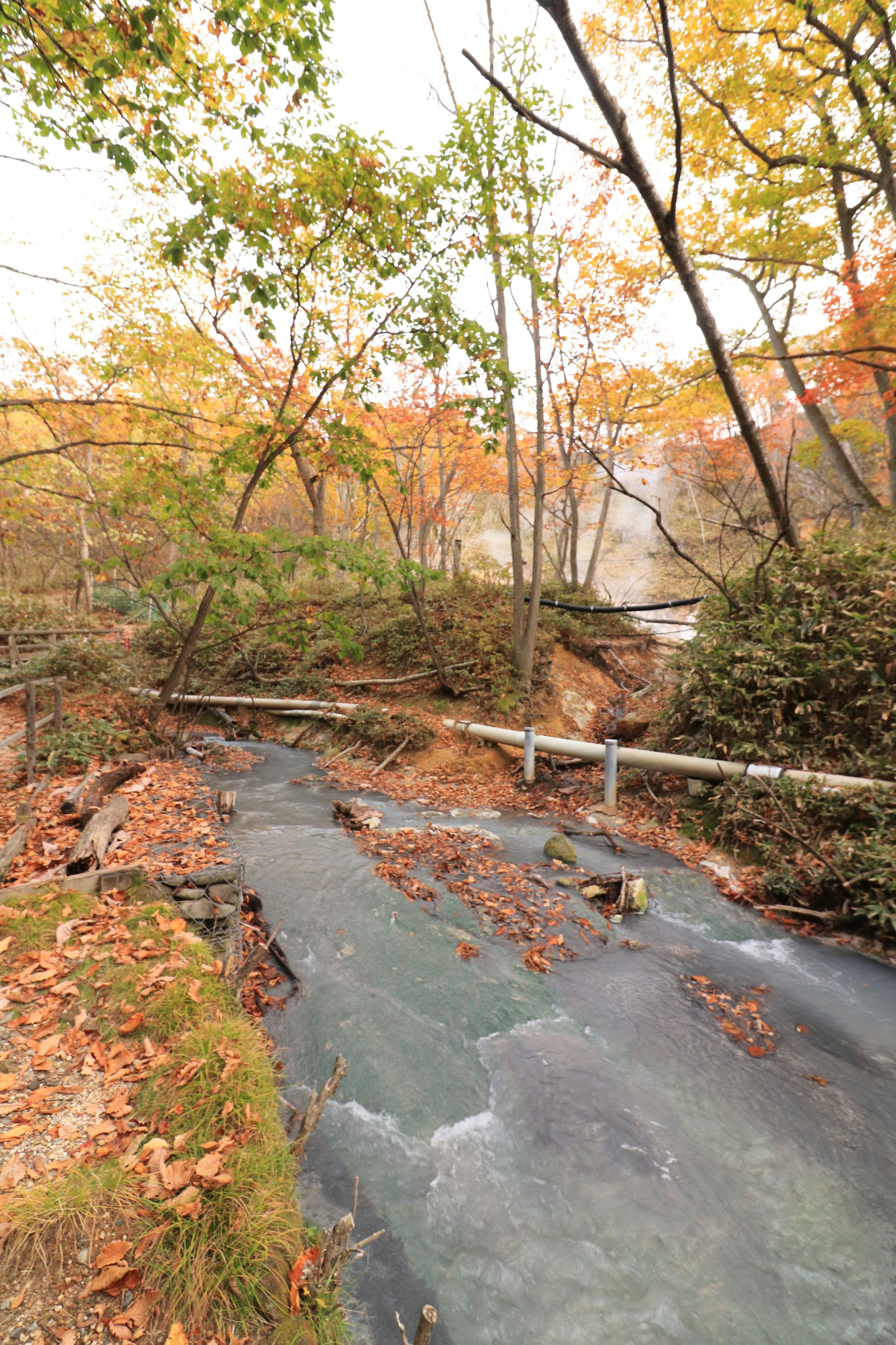 Malersicher Blick auf einen Bach umgeben von Herbstblättern mit fließendem Wasser und einer Holzbrücke