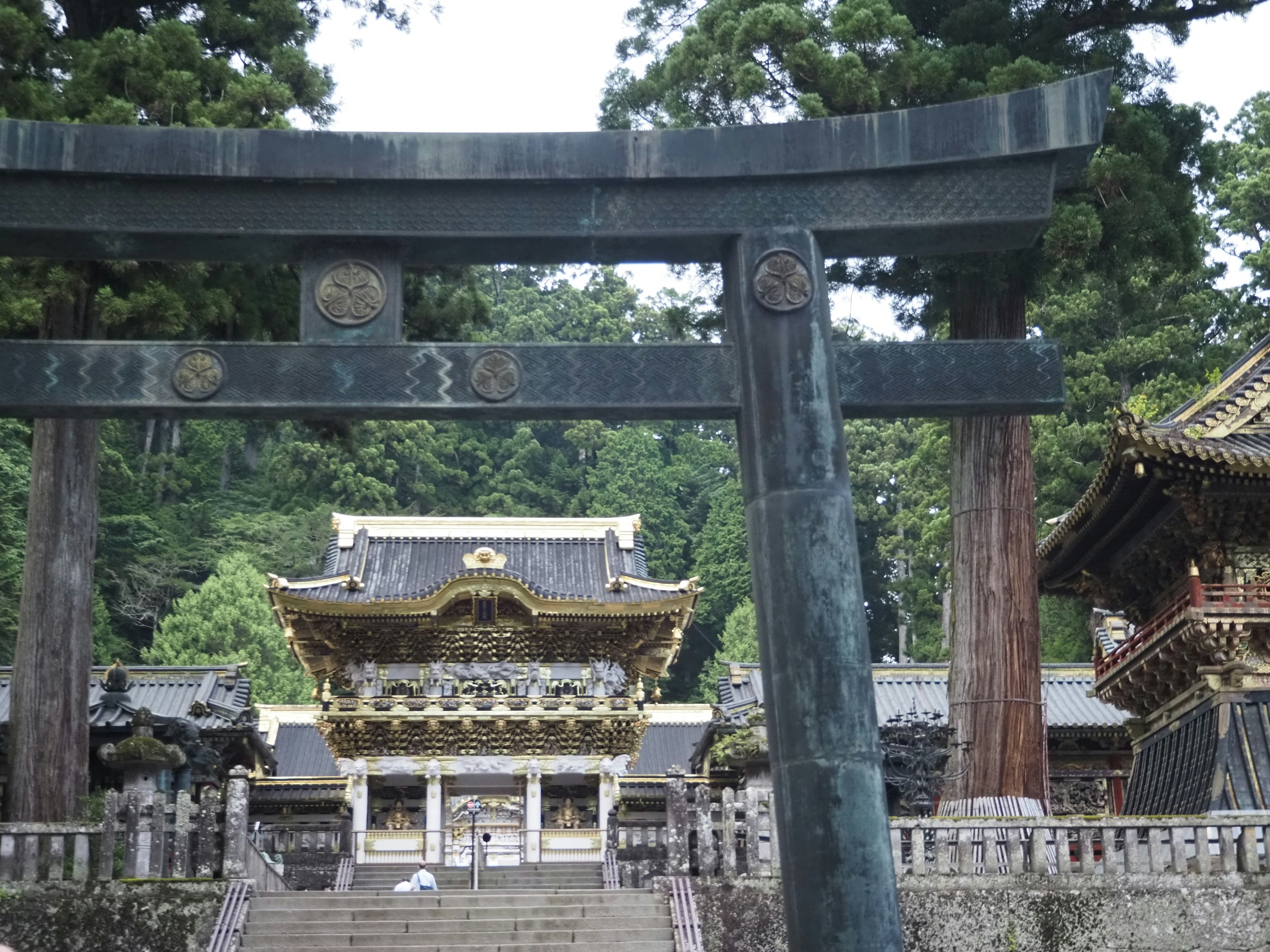 Torii devant un sanctuaire avec des décorations dorées dans un cadre verdoyant