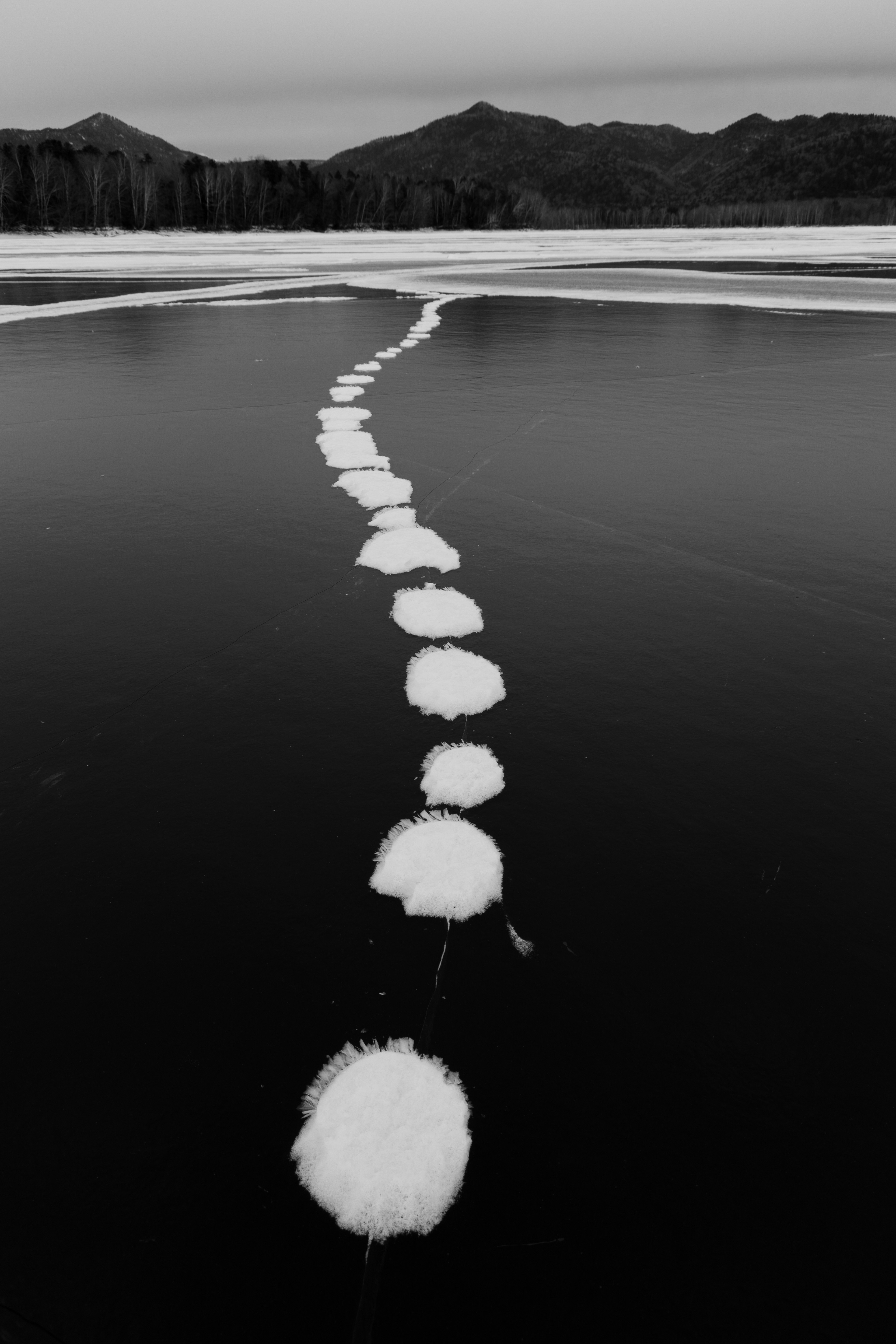 黒と白の風景に浮かぶ泡の列が続く静かな湖